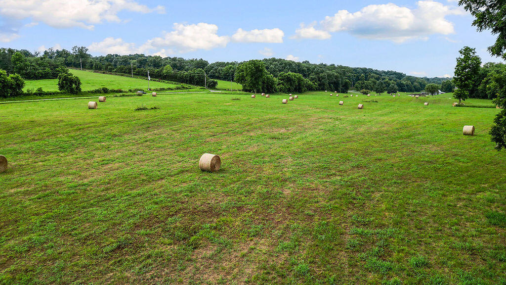 Photo 15 - Land for sale – 17.14ac  Farm Road 2190   Exeter, MO
