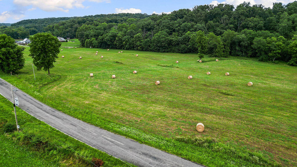 Photo 2 - Land for sale – 17.14ac  Farm Road 2190   Exeter, MO