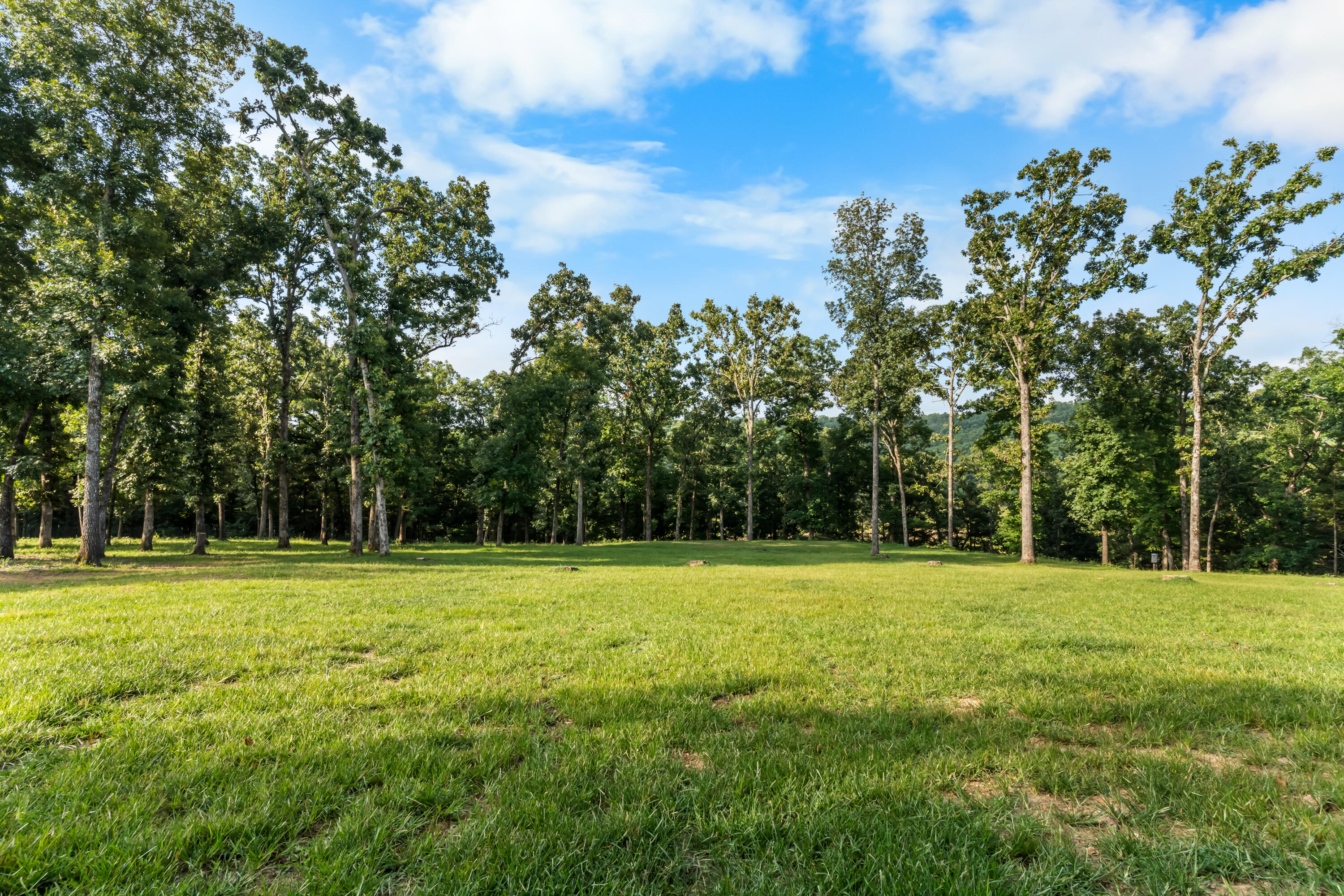 Photo 45 - Residential for sale – 1132  Melody Mountain Road  Cedar Creek, MO