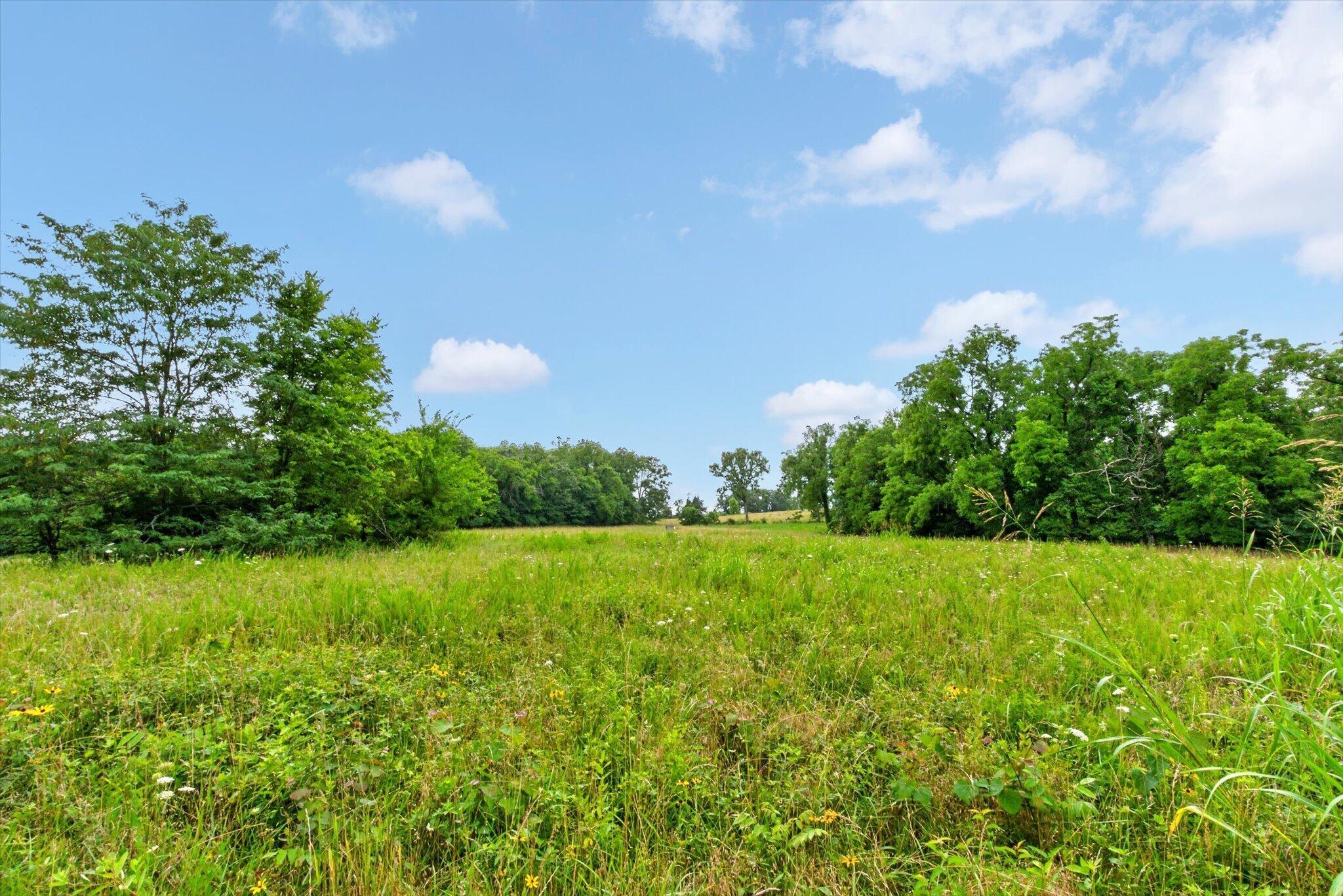 Photo 50 - Farm for sale – 13855 E 950 Road  Stockton, MO