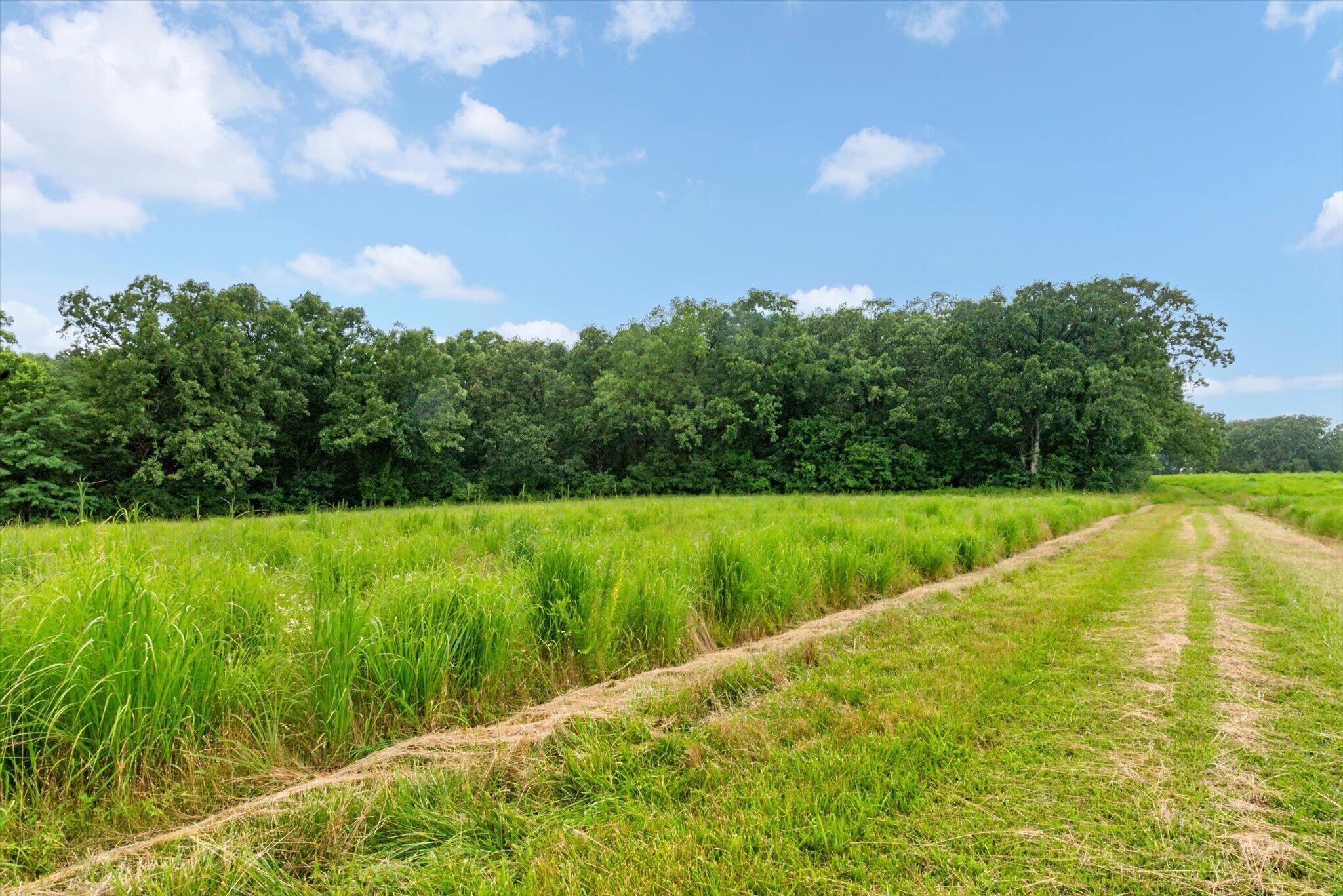 Photo 51 - Farm for sale – 13855 E 950 Road  Stockton, MO