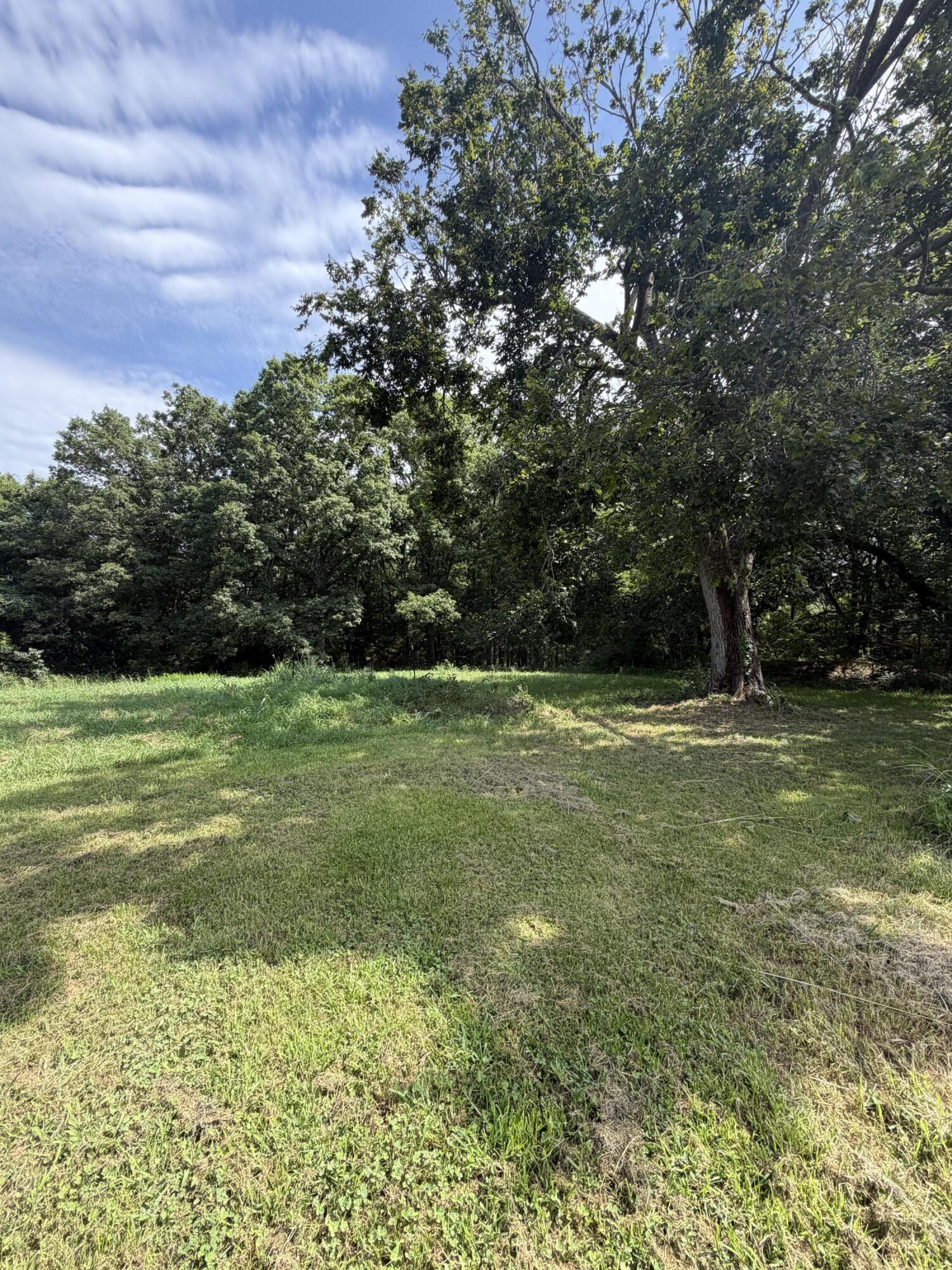 Photo 32 - Residential for sale – 207  Woodmist Road  Galena, MO