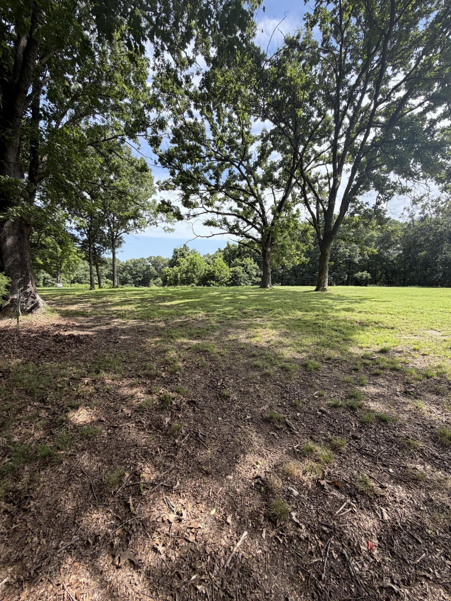 Photo 29 - Residential for sale – 207  Woodmist Road  Galena, MO