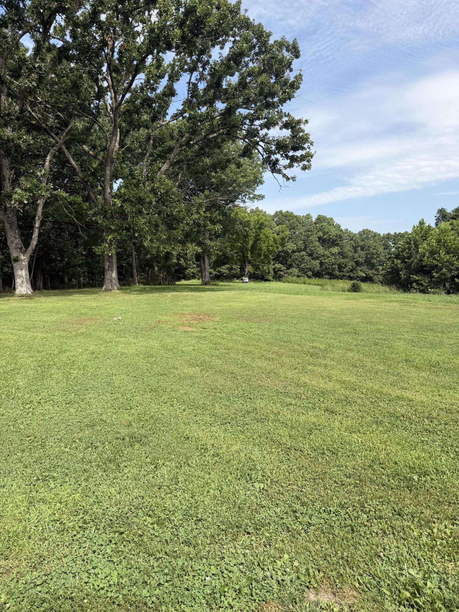 Photo 13 - Residential for sale – 207  Woodmist Road  Galena, MO