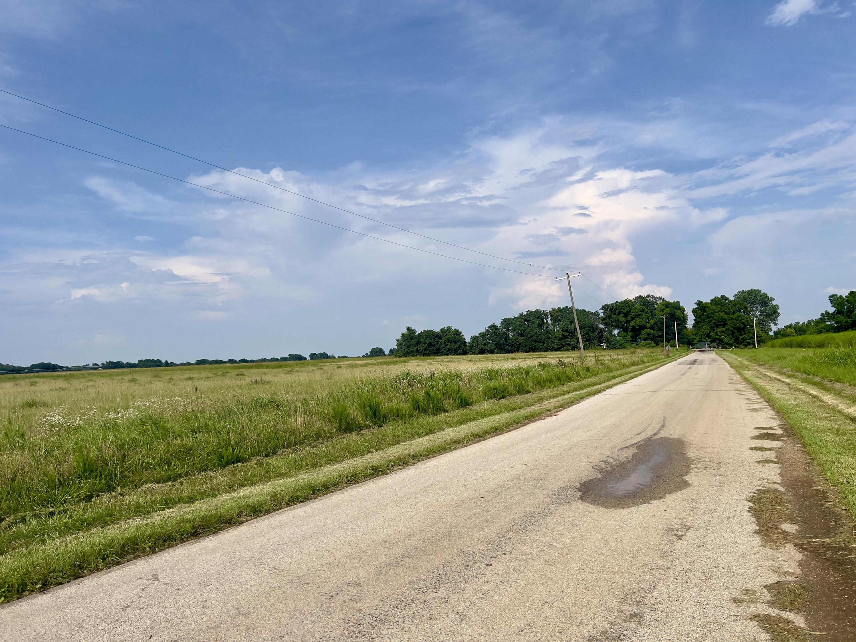 Photo 14 - Land for sale – 000  Cedar Lane   Reeds, MO