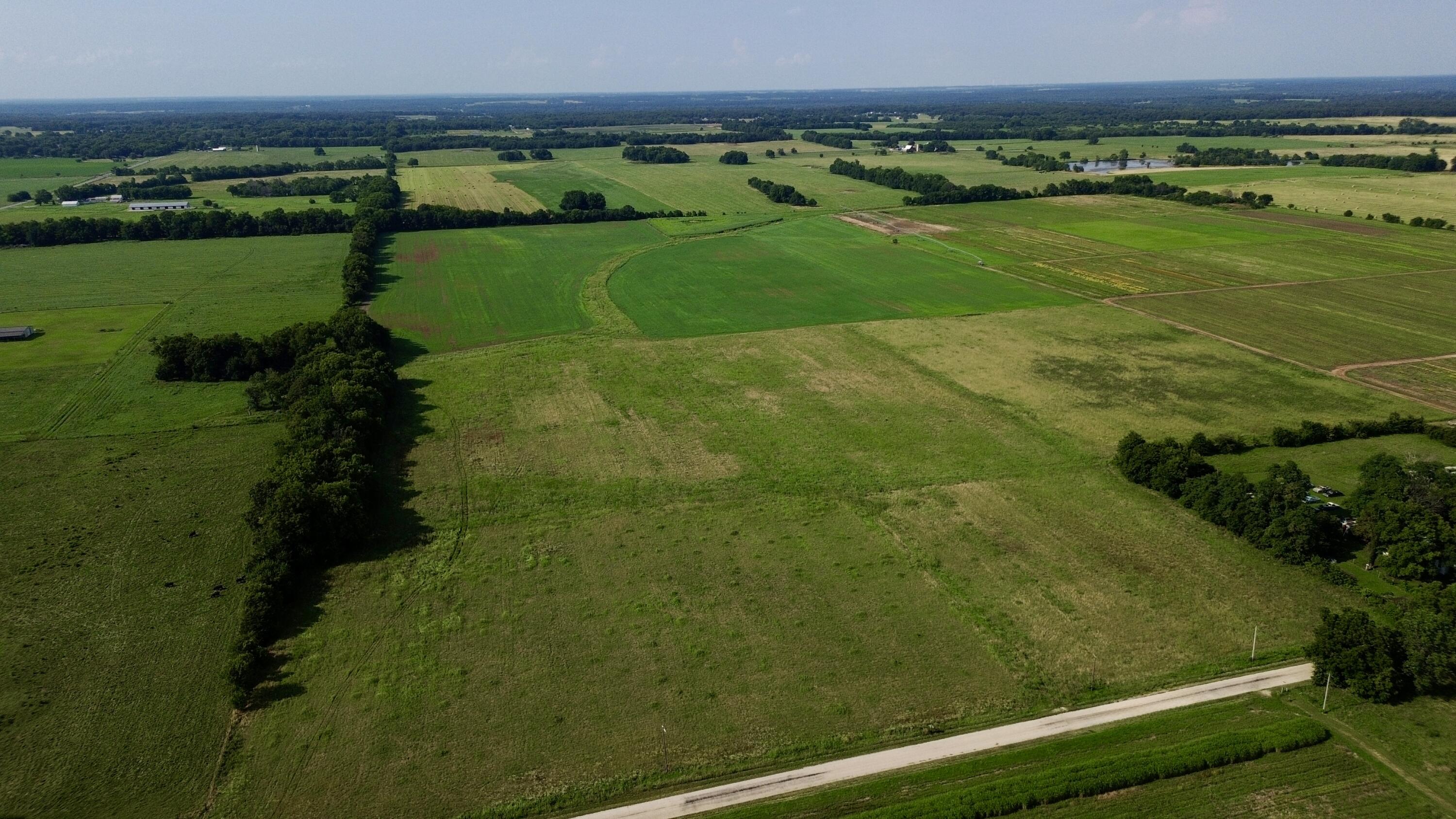 Land for sale – 000  Cedar Lane   Reeds, MO