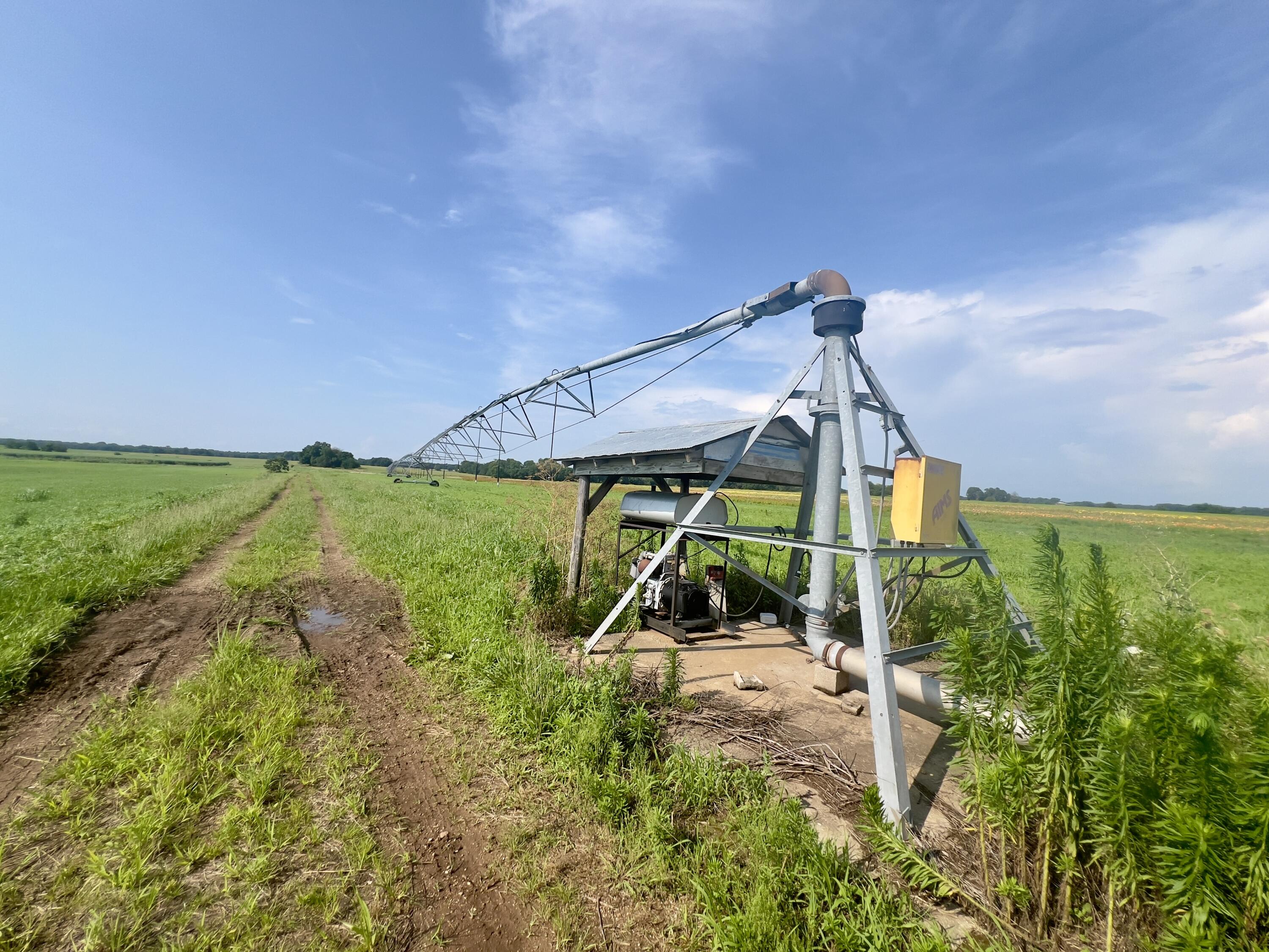 Photo 7 - Land for sale – 000  Cedar Lane   Reeds, MO