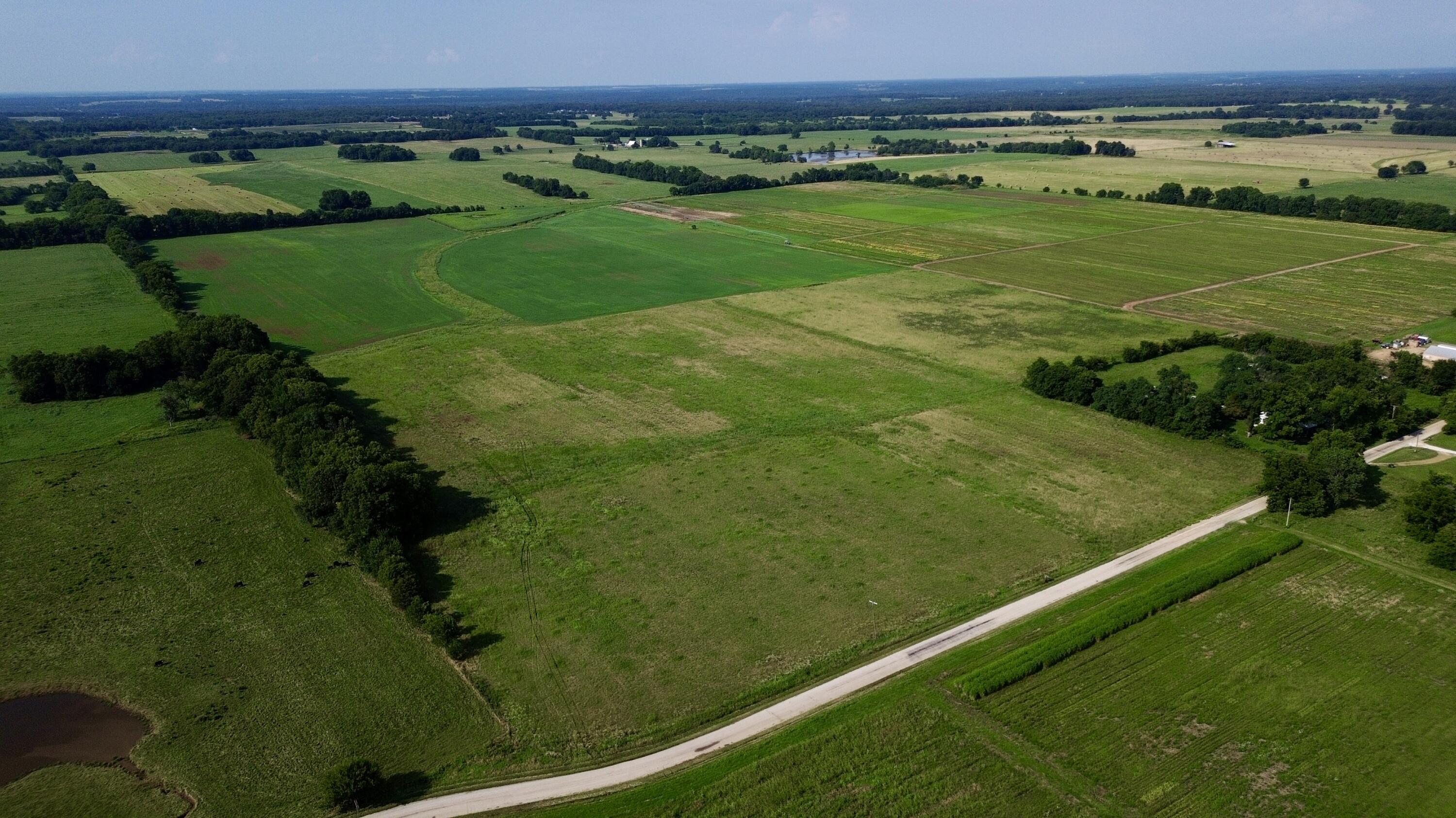 Photo 6 - Land for sale – 000  Cedar Lane   Reeds, MO