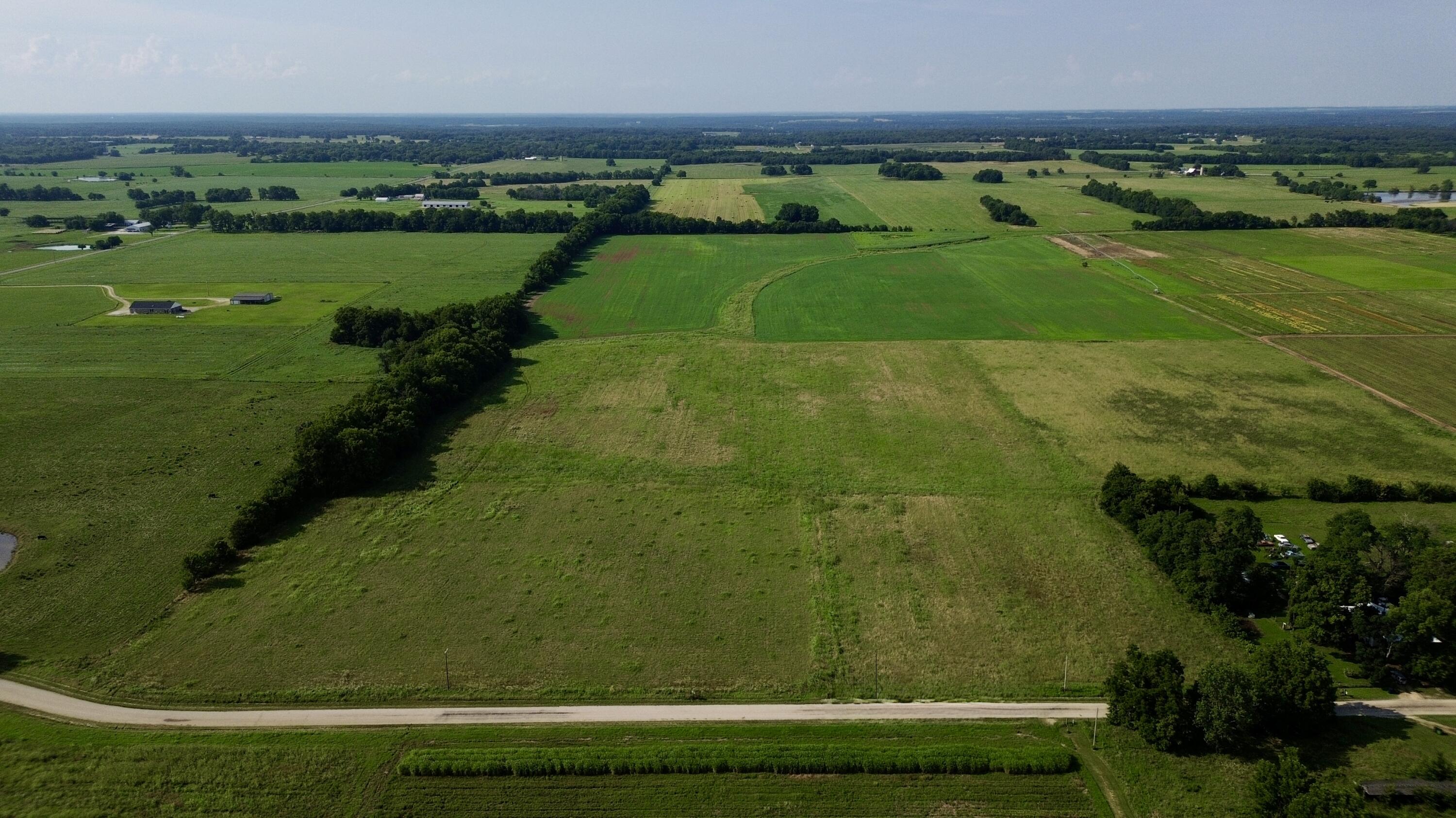 Photo 2 - Land for sale – 000  Cedar Lane   Reeds, MO