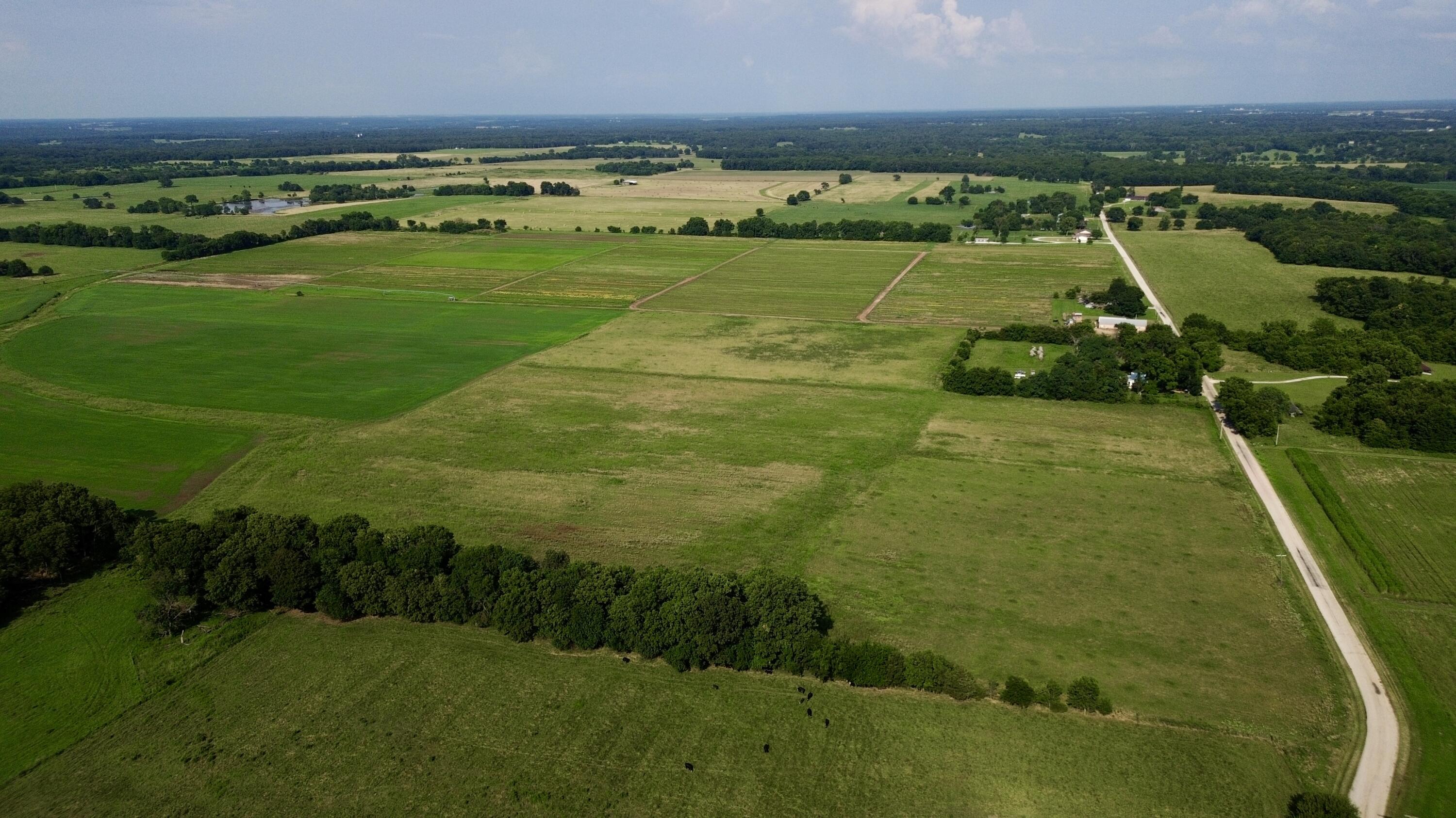 Photo 5 - Land for sale – 000  Cedar Lane   Reeds, MO