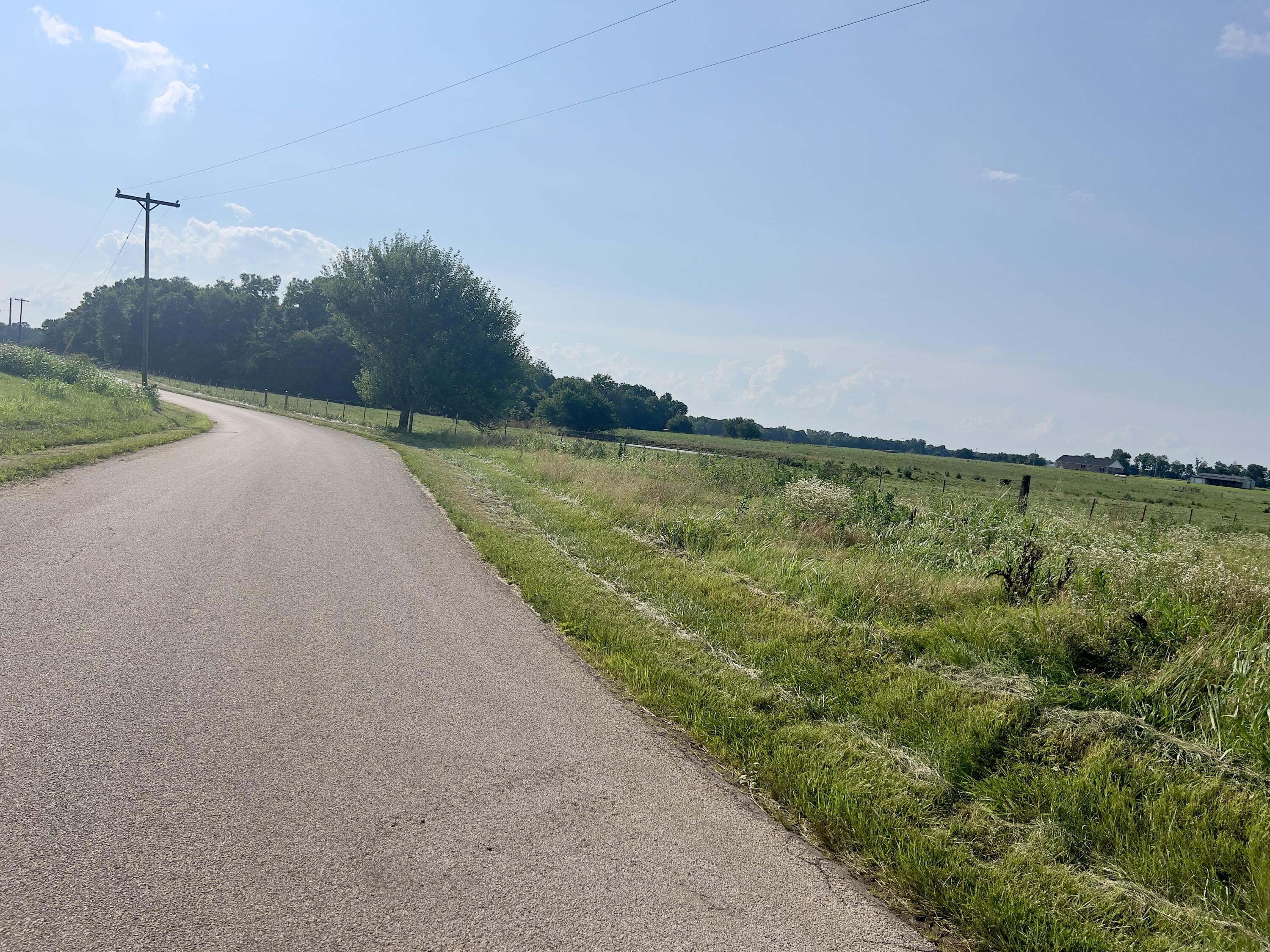 Photo 15 - Land for sale – 000  Cedar Lane   Reeds, MO
