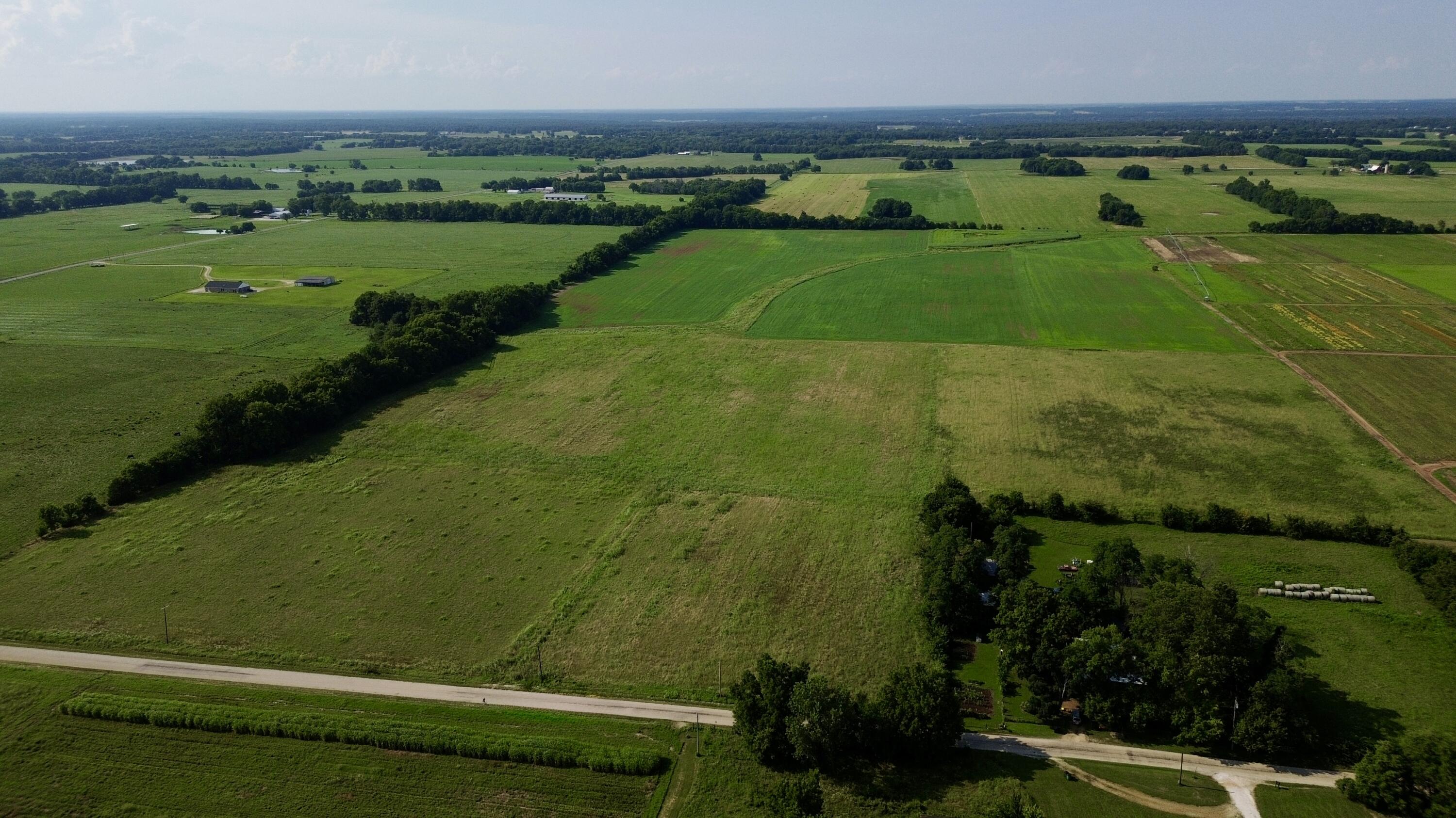 Photo 3 - Land for sale – 000  Cedar Lane   Reeds, MO