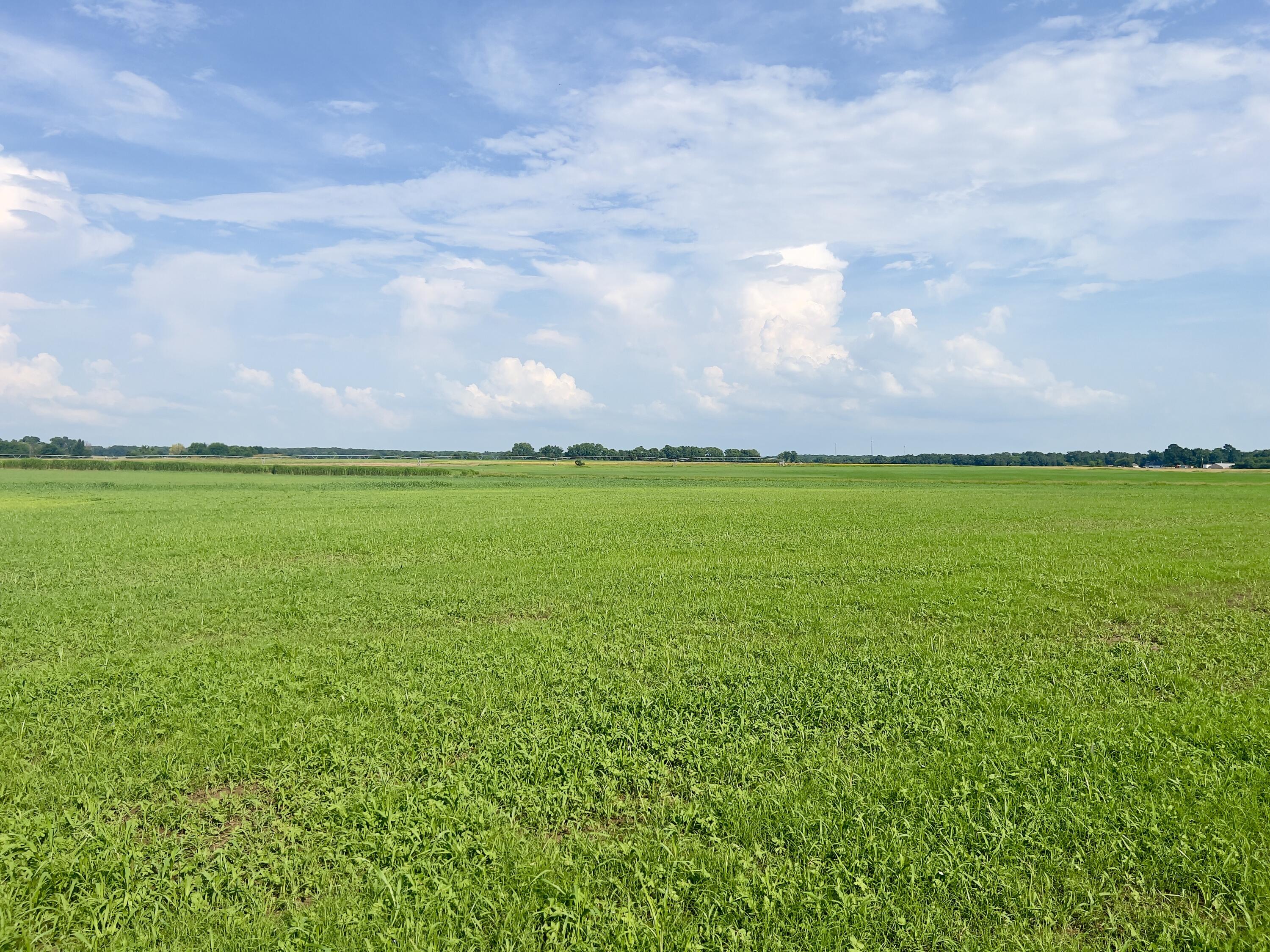 Photo 12 - Land for sale – 000  Cedar Lane   Reeds, MO