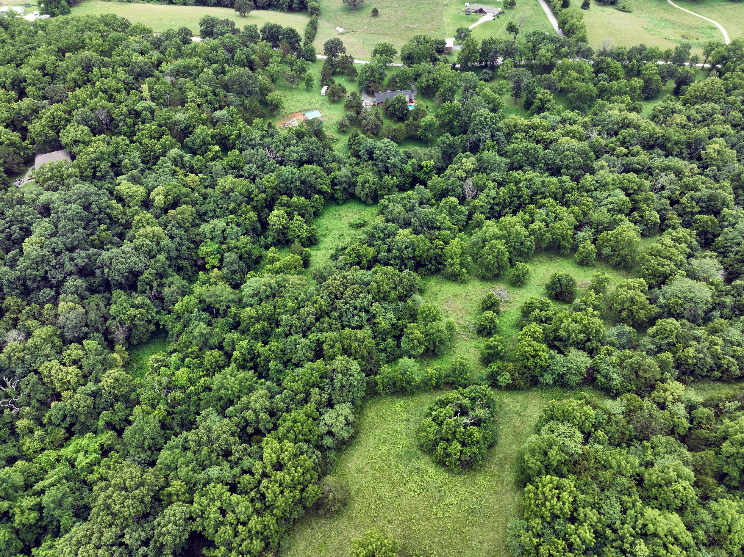 Photo 9 - Land for sale – 10 Acres  Green Valley Road  Clever, MO