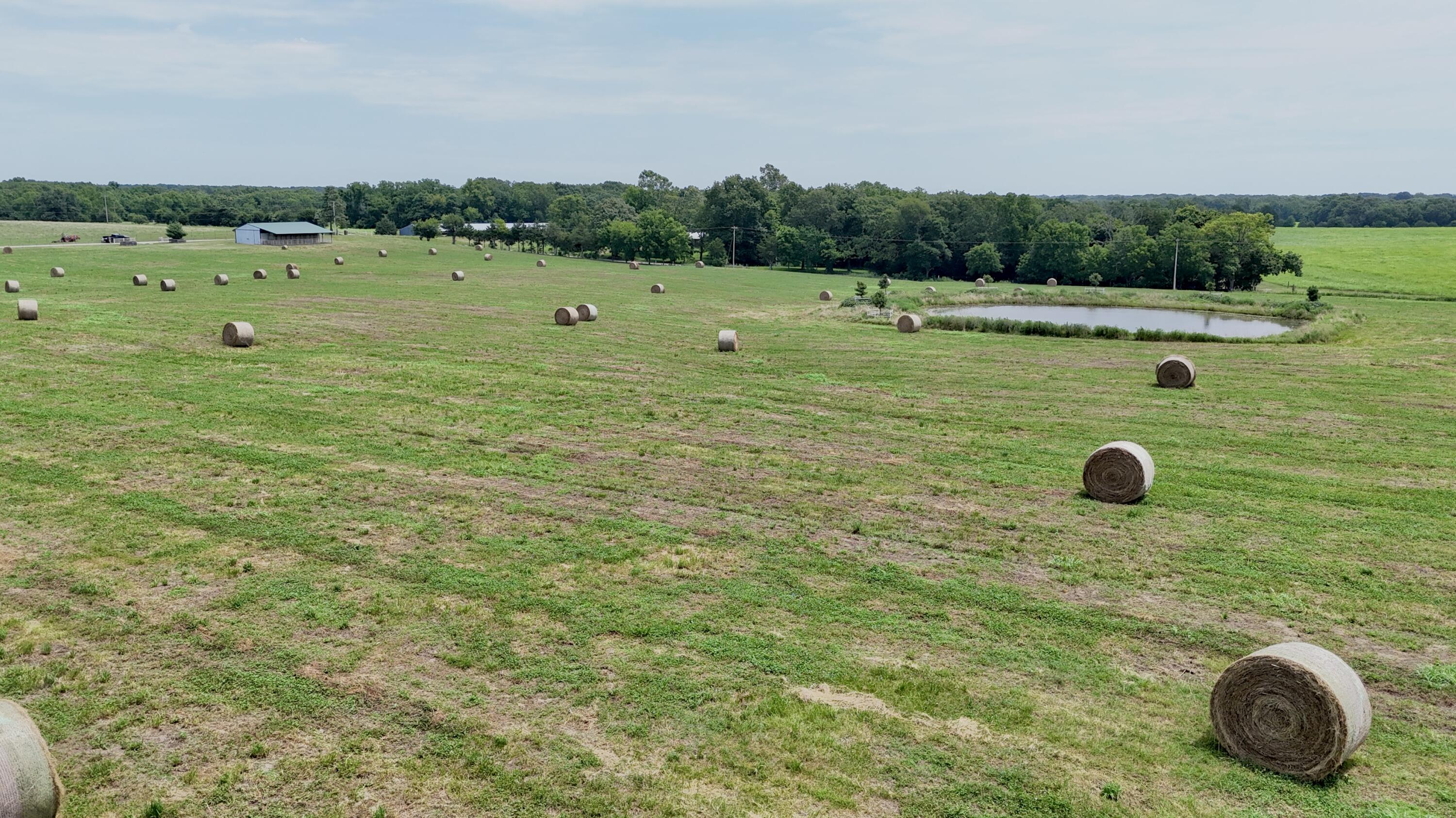 Photo 13 - Land for sale – Tbd  Farm Road 1070   Seligman, MO