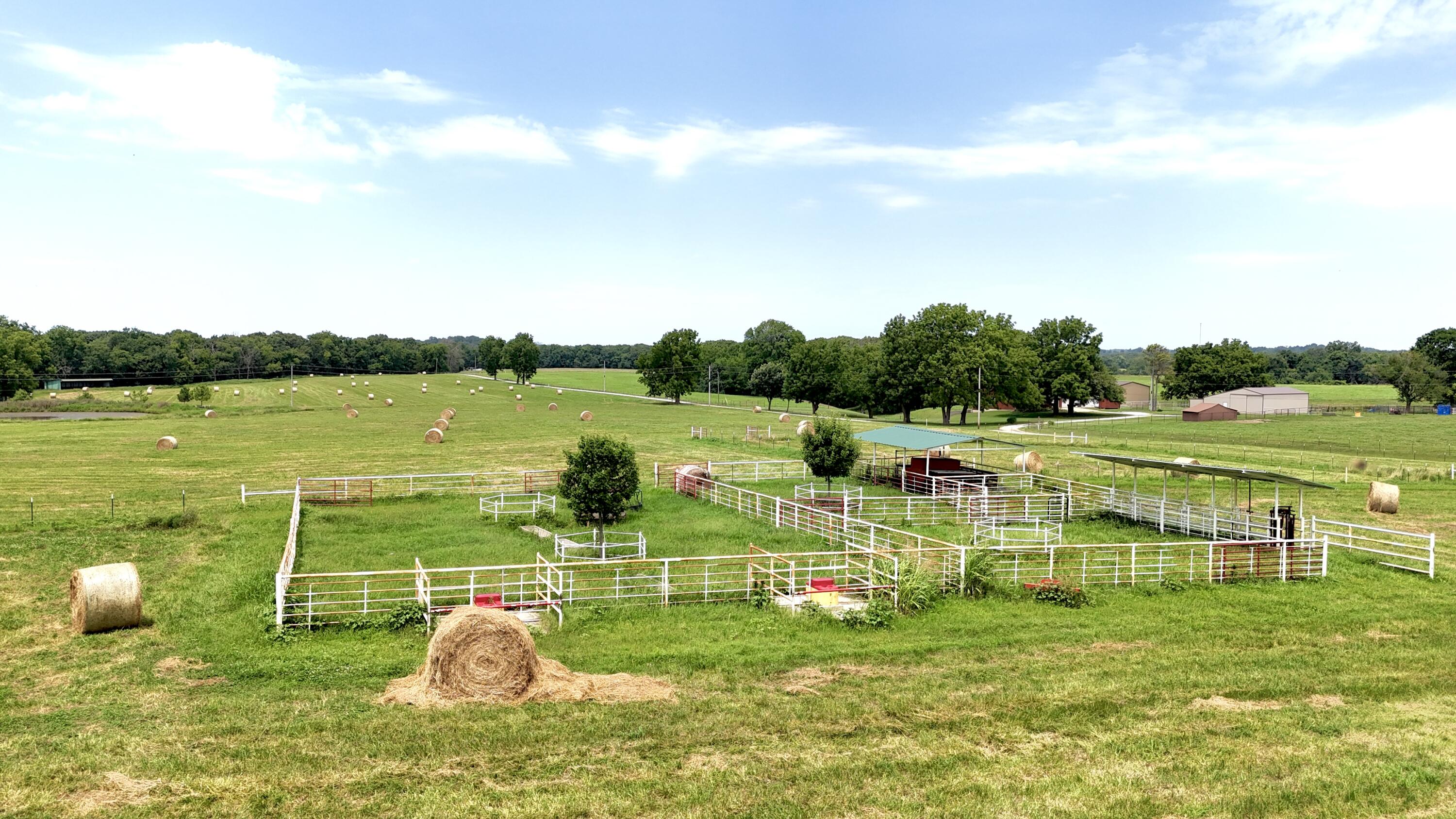 Photo 8 - Land for sale – Tbd  Farm Road 1070   Seligman, MO