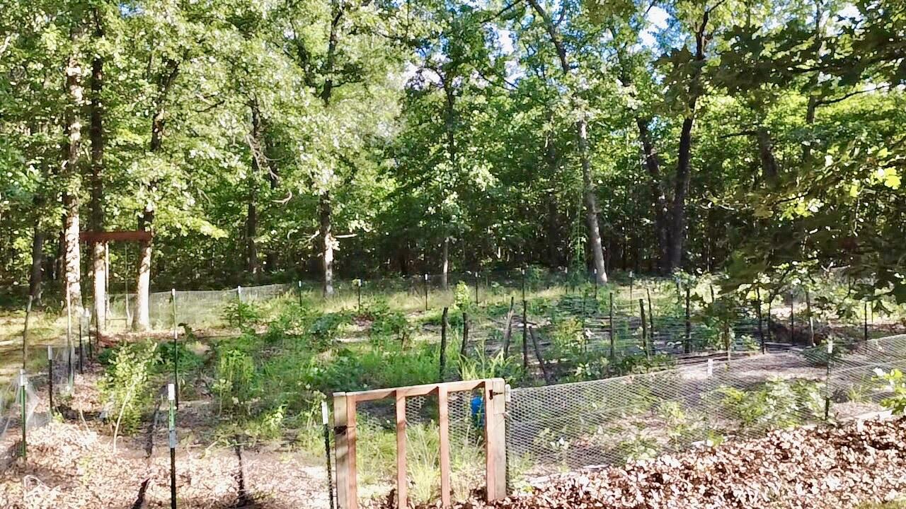 Photo 4 - Land for sale – 29750  Mauka Drive  Lebanon, MO