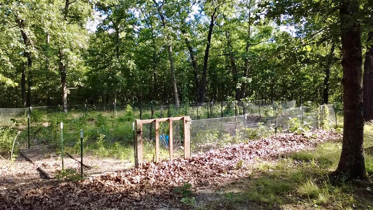 Photo 10 - Land for sale – 29750  Mauka Drive  Lebanon, MO