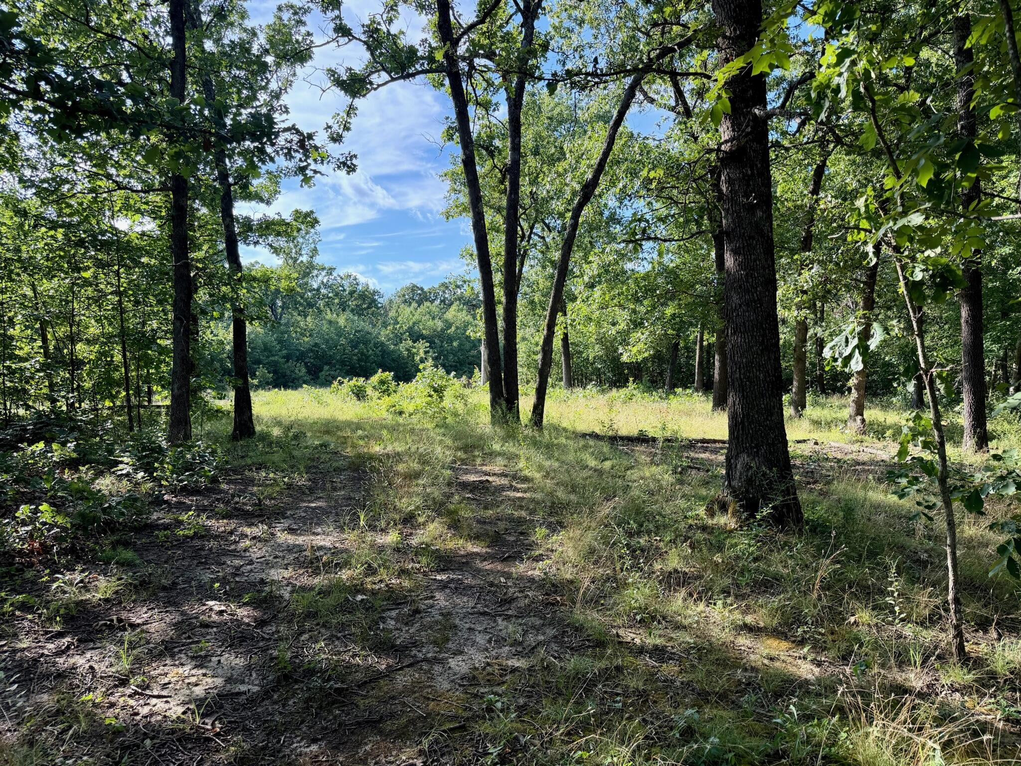 Photo 8 - Land for sale – 29750  Mauka Drive  Lebanon, MO