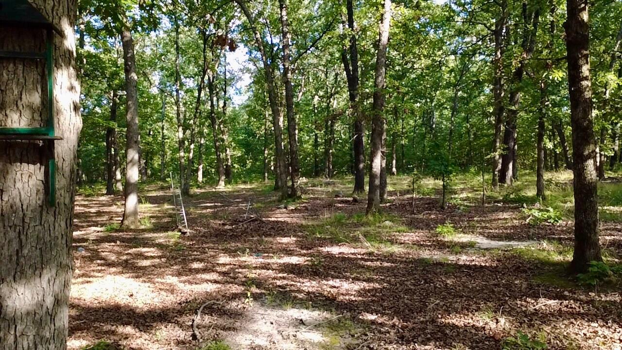 Photo 30 - Land for sale – 29750  Mauka Drive  Lebanon, MO