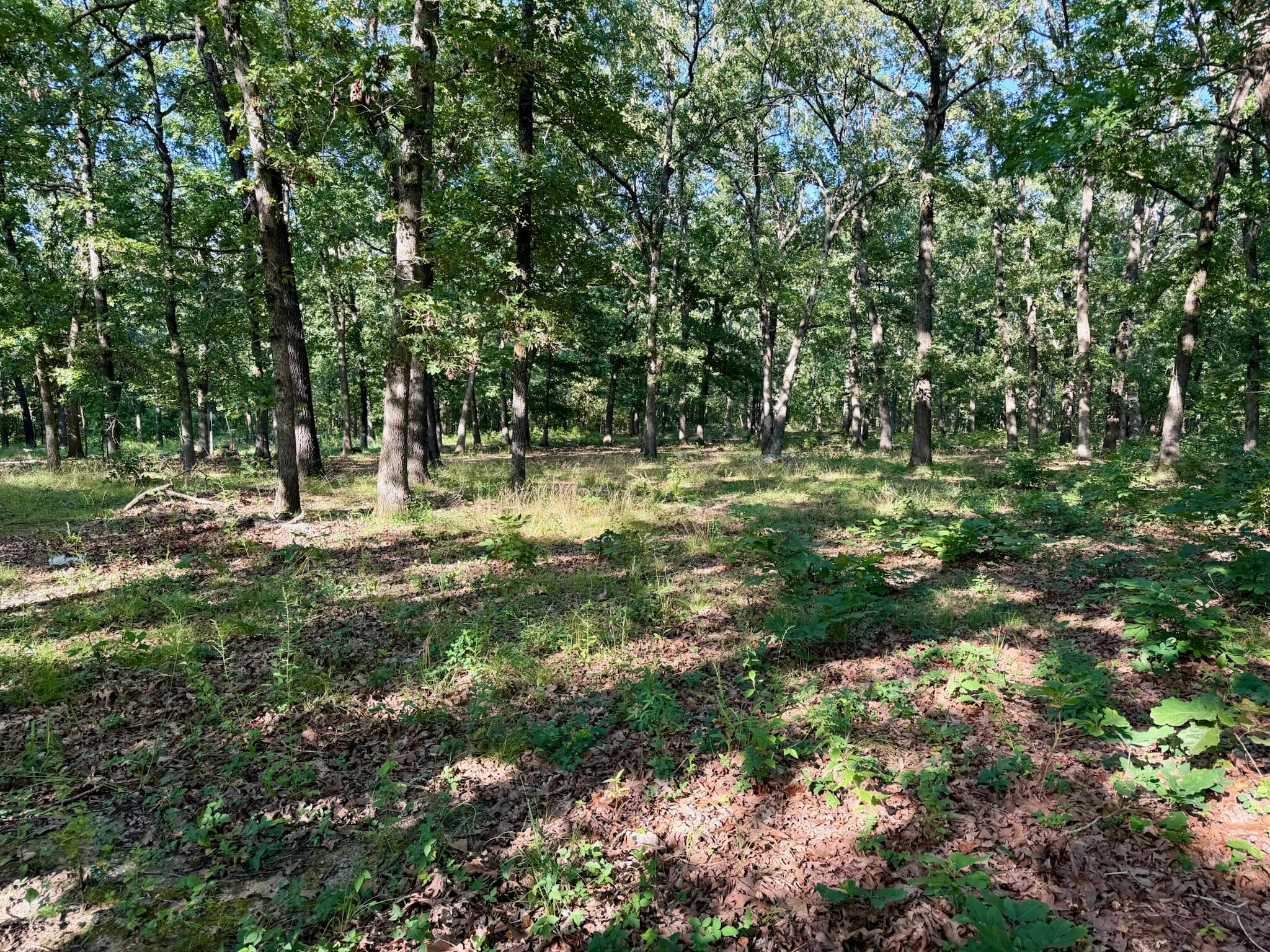Photo 6 - Land for sale – 29750  Mauka Drive  Lebanon, MO