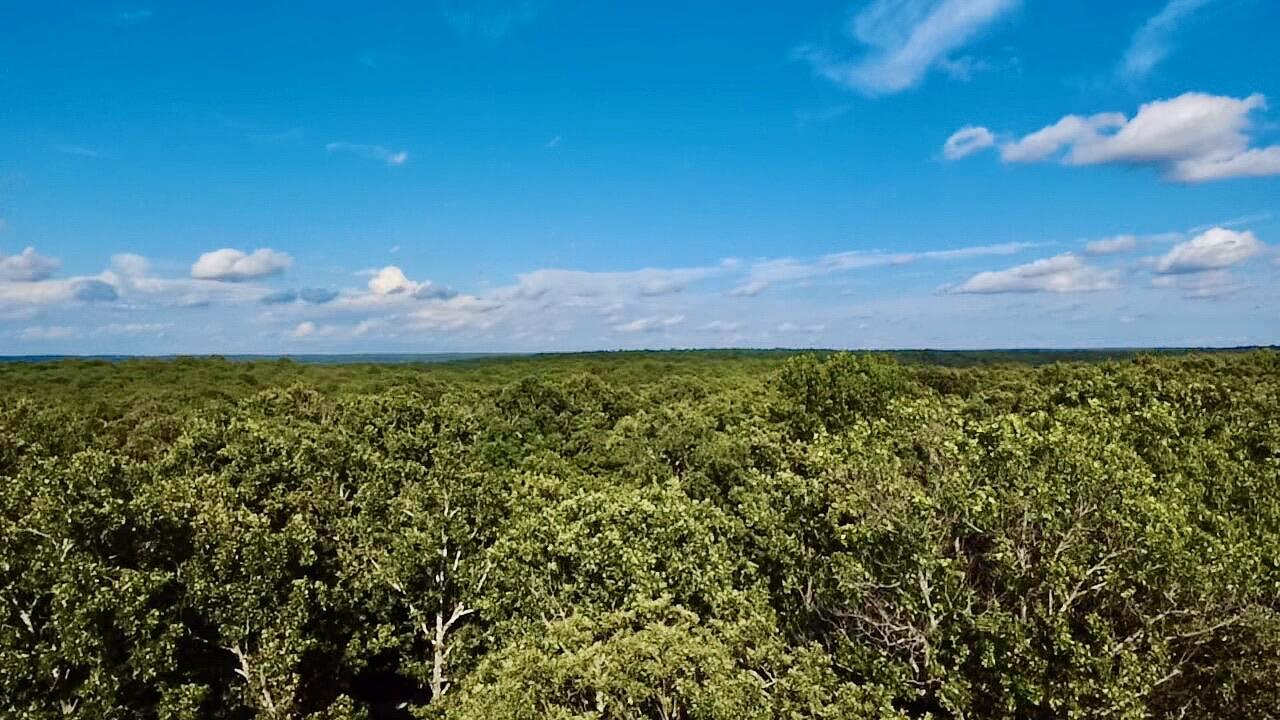 Photo 32 - Land for sale – 29750  Mauka Drive  Lebanon, MO