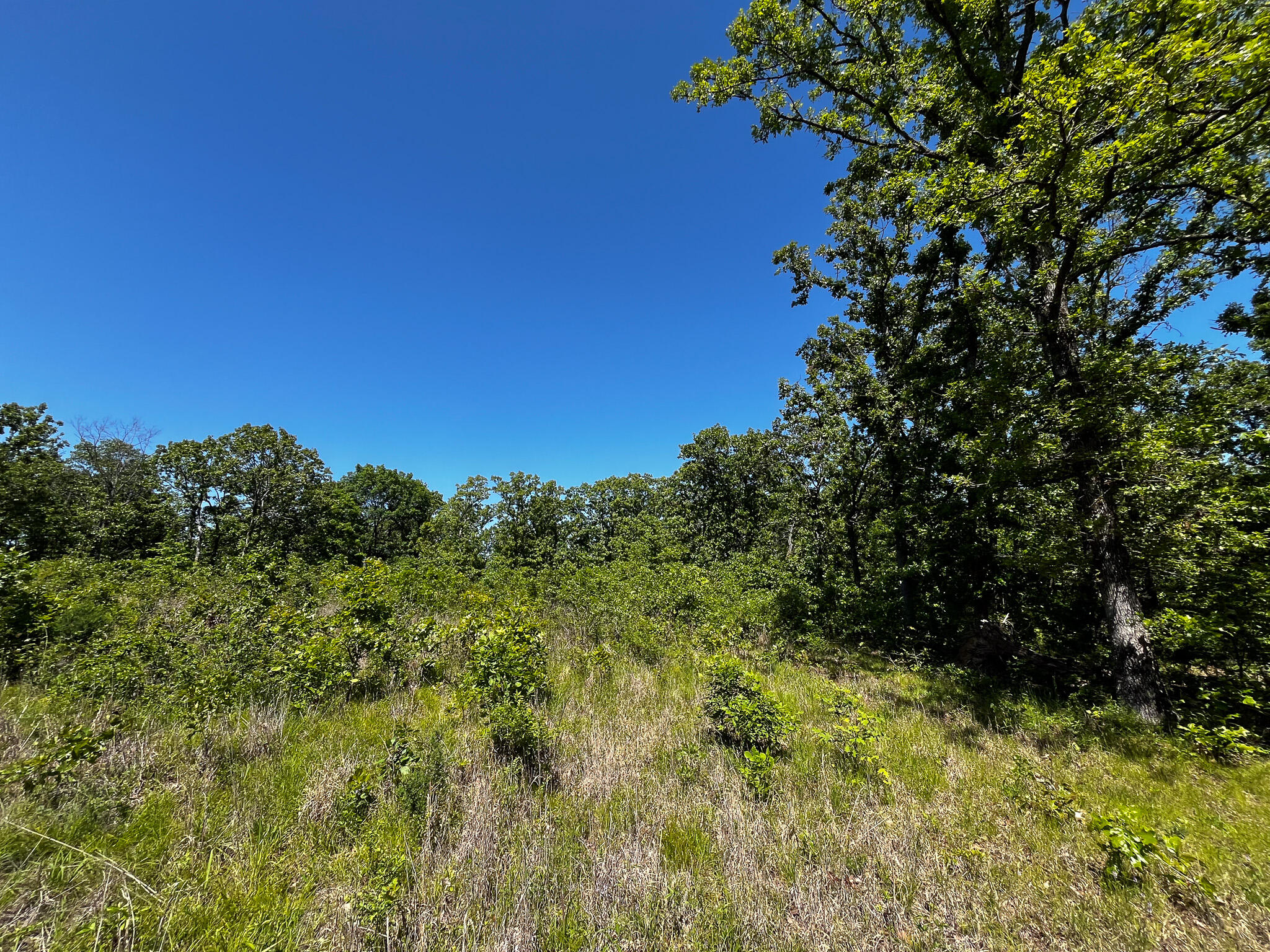 Photo 25 - Land for sale – Tbd  Kolb Hollow Road  Climax Springs, MO
