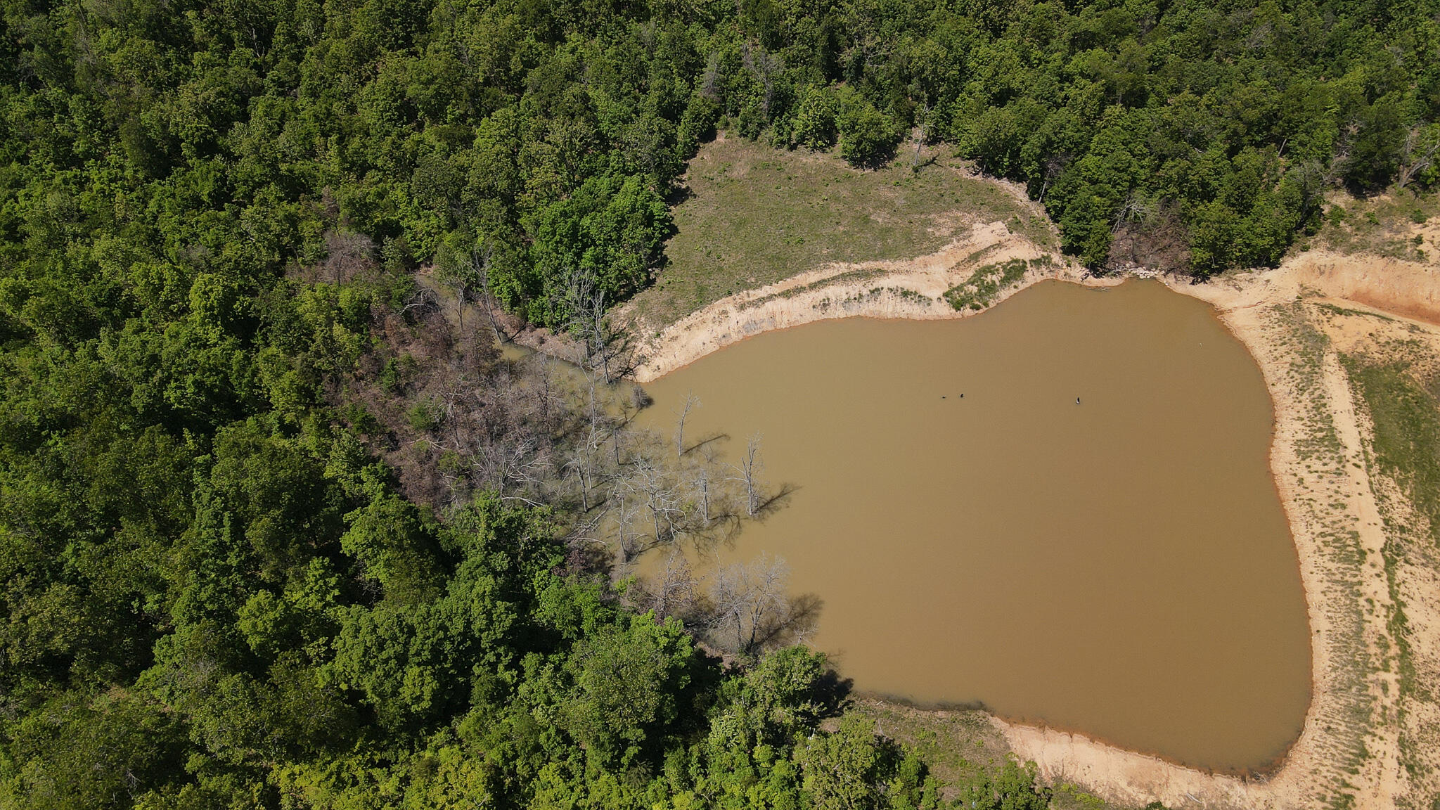 Photo 23 - Land for sale – Tbd  Kolb Hollow Road  Climax Springs, MO
