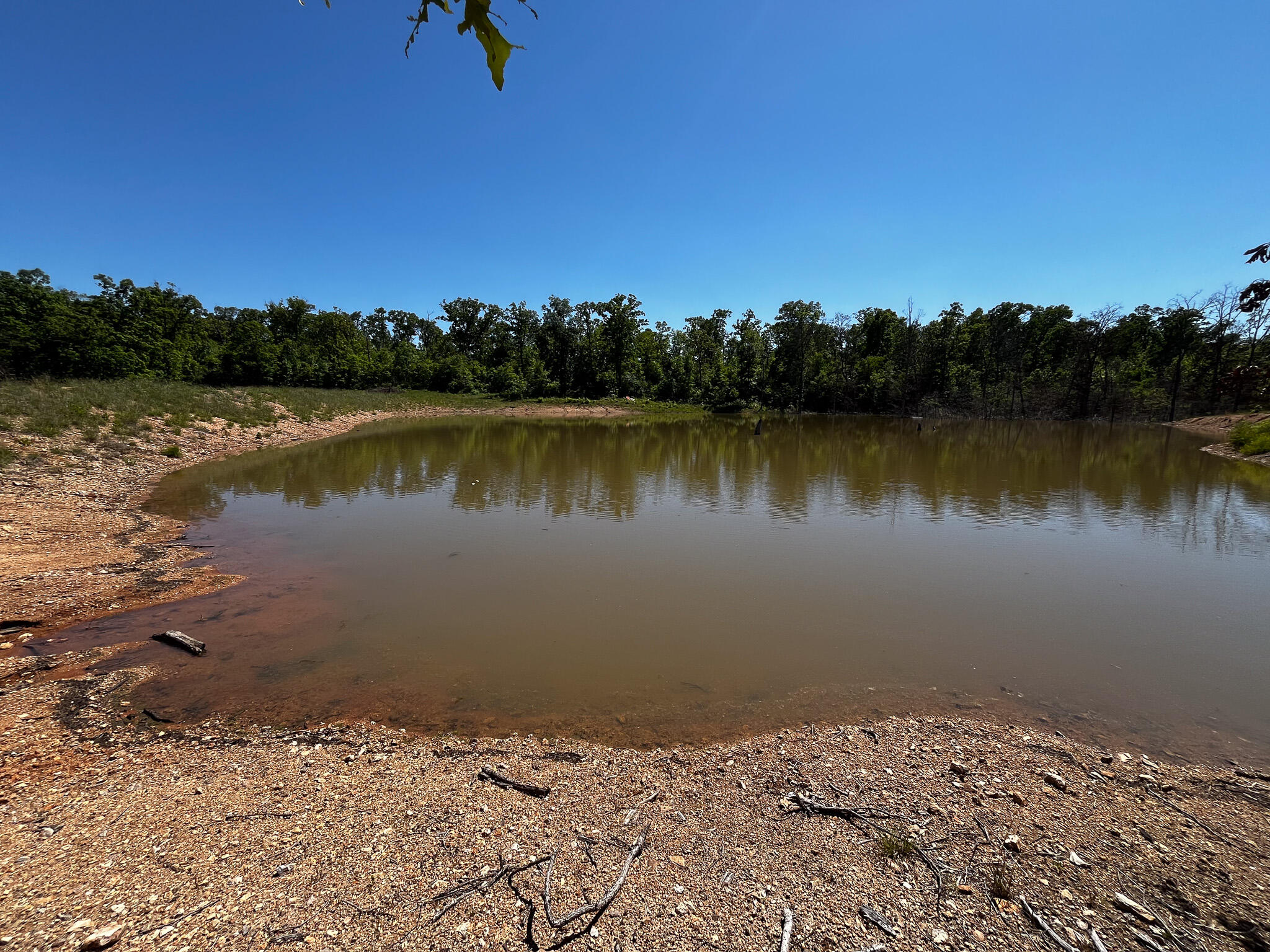 Photo 19 - Land for sale – Tbd  Kolb Hollow Road  Climax Springs, MO