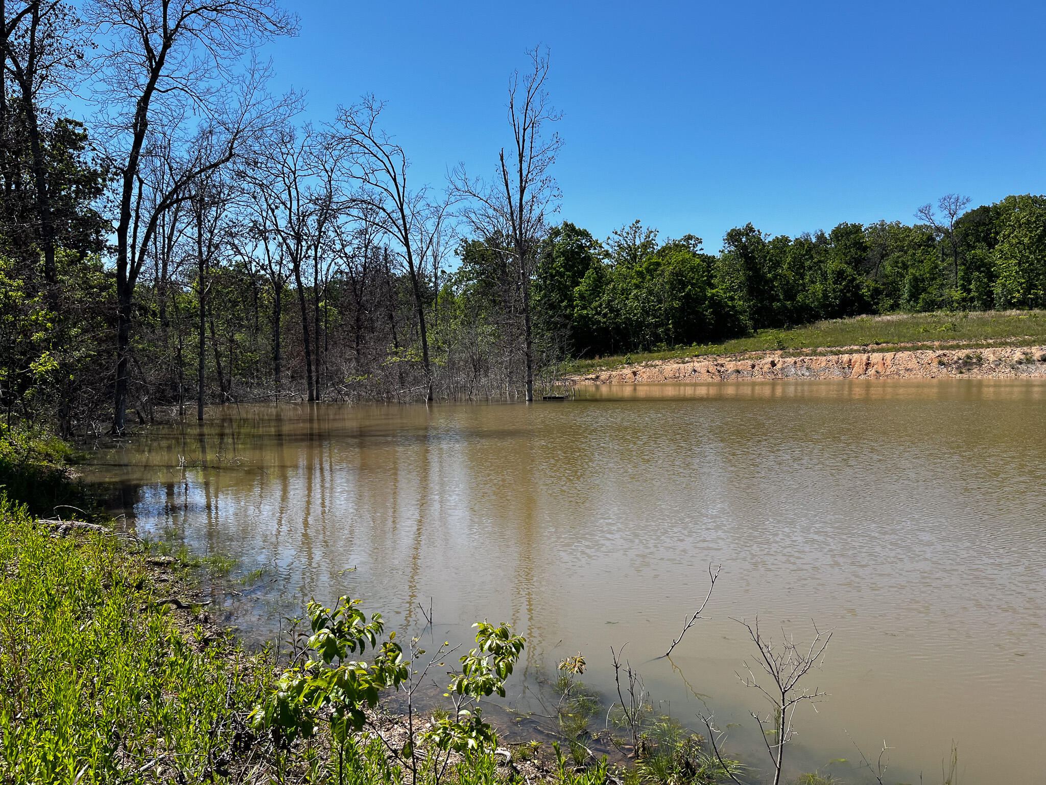 Photo 17 - Land for sale – Tbd  Kolb Hollow Road  Climax Springs, MO