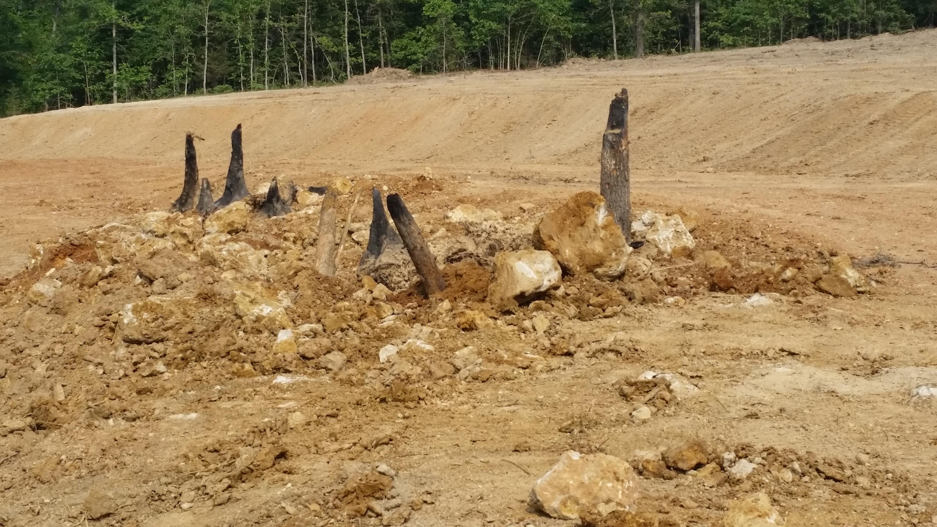 Photo 4 - Land for sale – Tbd  Kolb Hollow Road  Climax Springs, MO