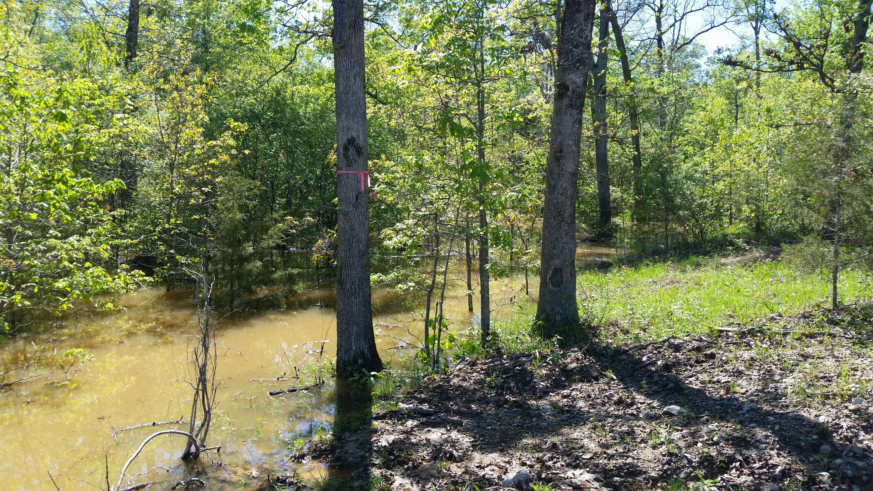 Photo 10 - Land for sale – Tbd  Kolb Hollow Road  Climax Springs, MO
