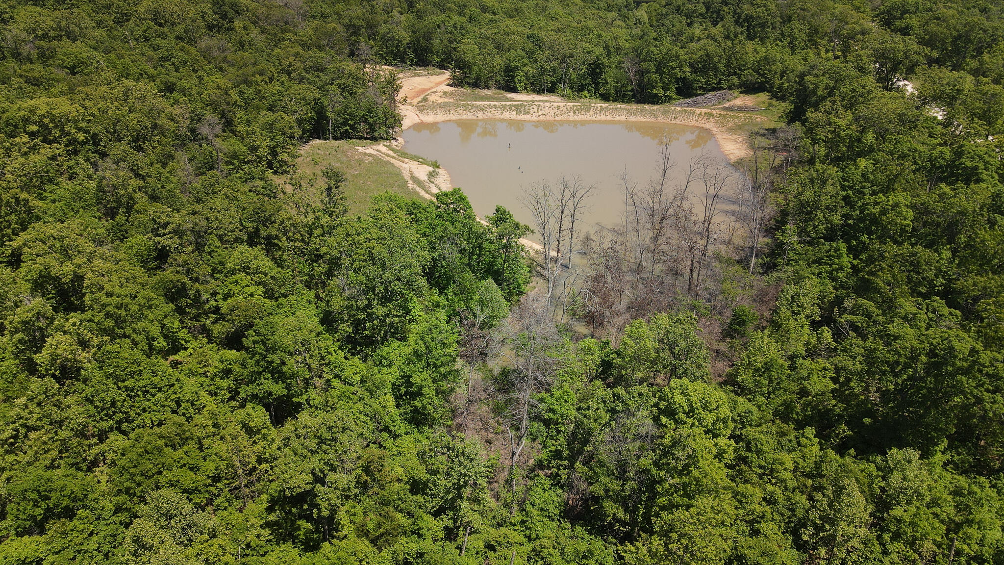 Photo 38 - Land for sale – Tbd  Kolb Hollow Road  Climax Springs, MO