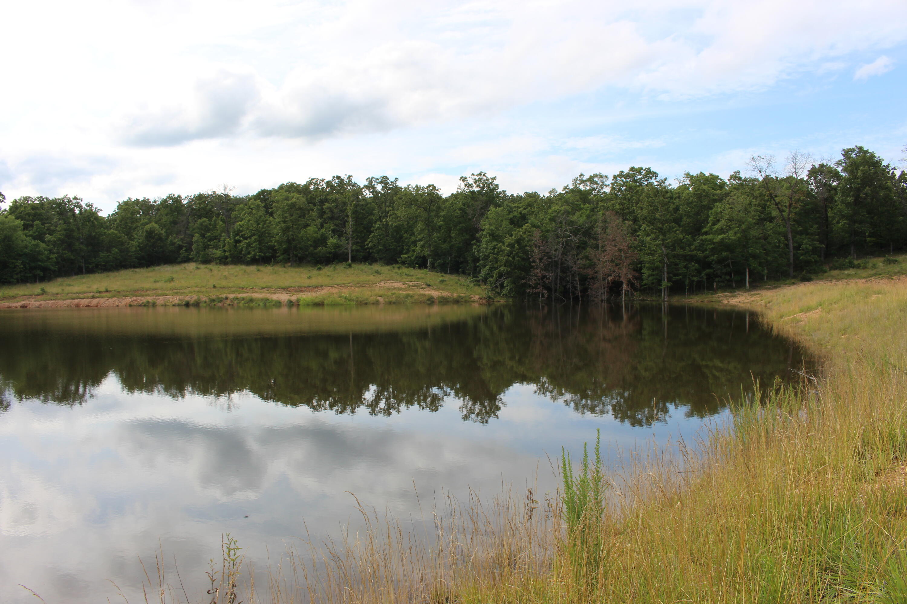 Photo 2 - Land for sale – Tbd  Kolb Hollow Road  Climax Springs, MO