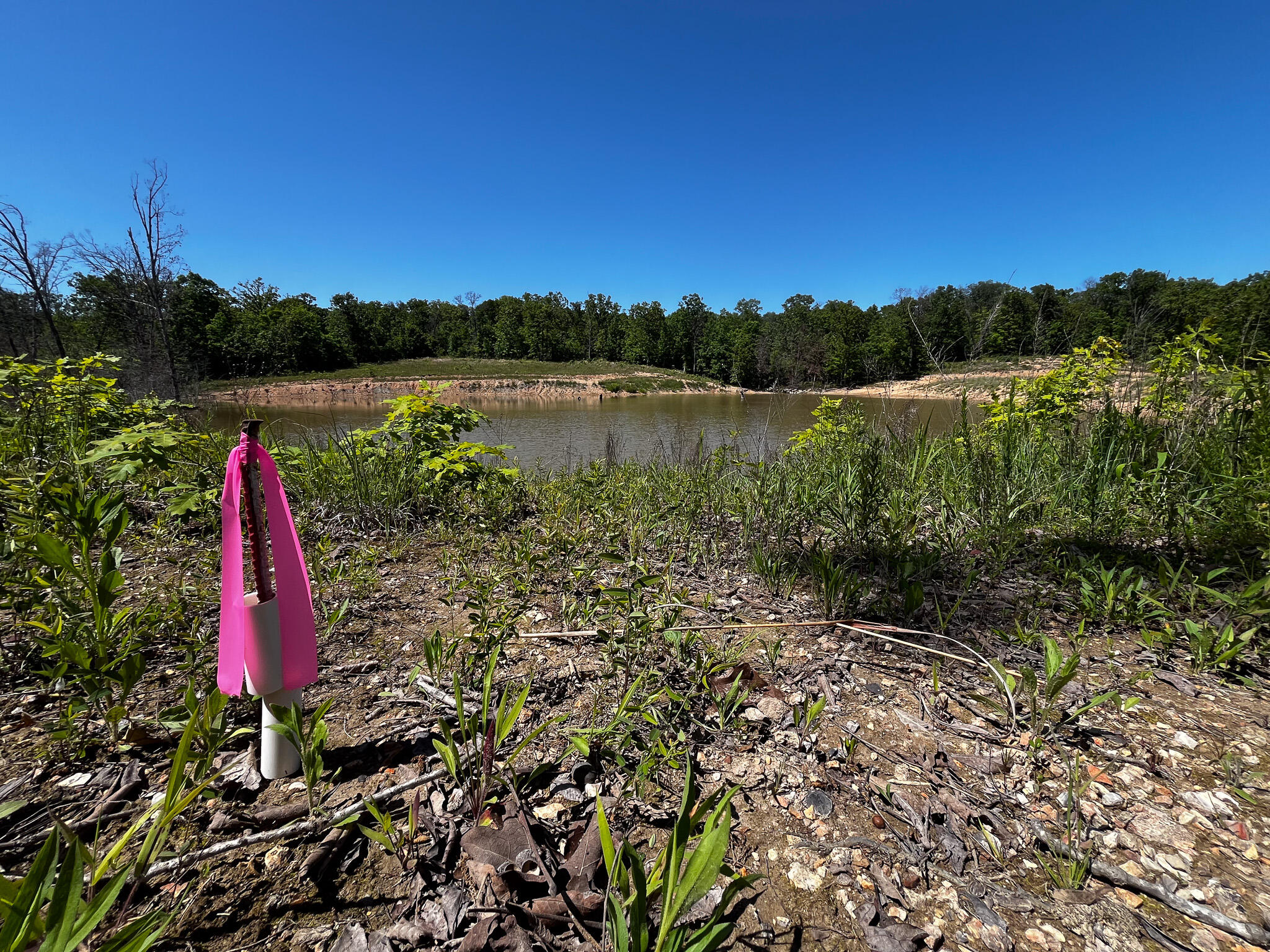 Photo 16 - Land for sale – Tbd  Kolb Hollow Road  Climax Springs, MO