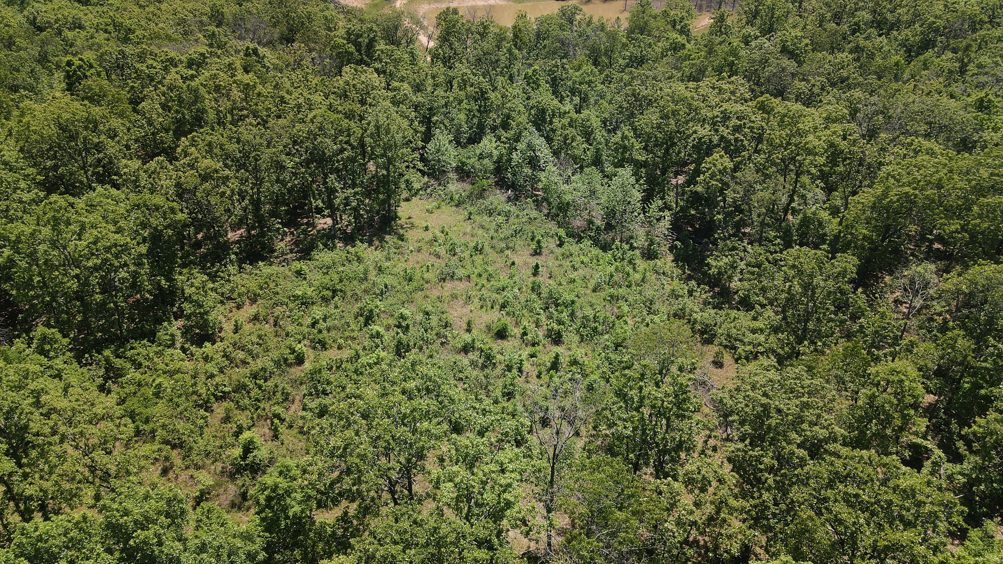 Photo 36 - Land for sale – Tbd  Kolb Hollow Road  Climax Springs, MO
