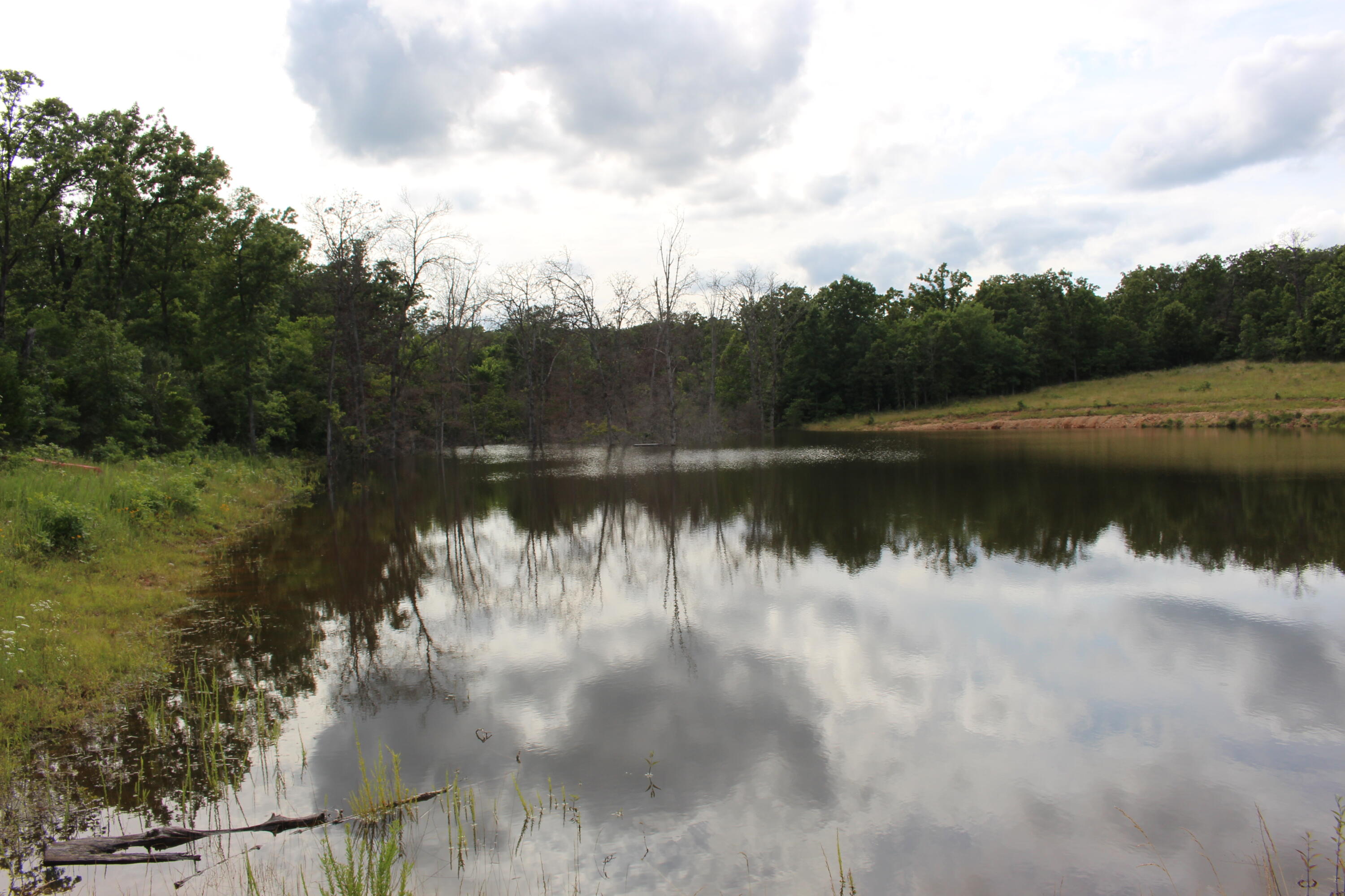 Land for sale – Tbd  Kolb Hollow Road  Climax Springs, MO