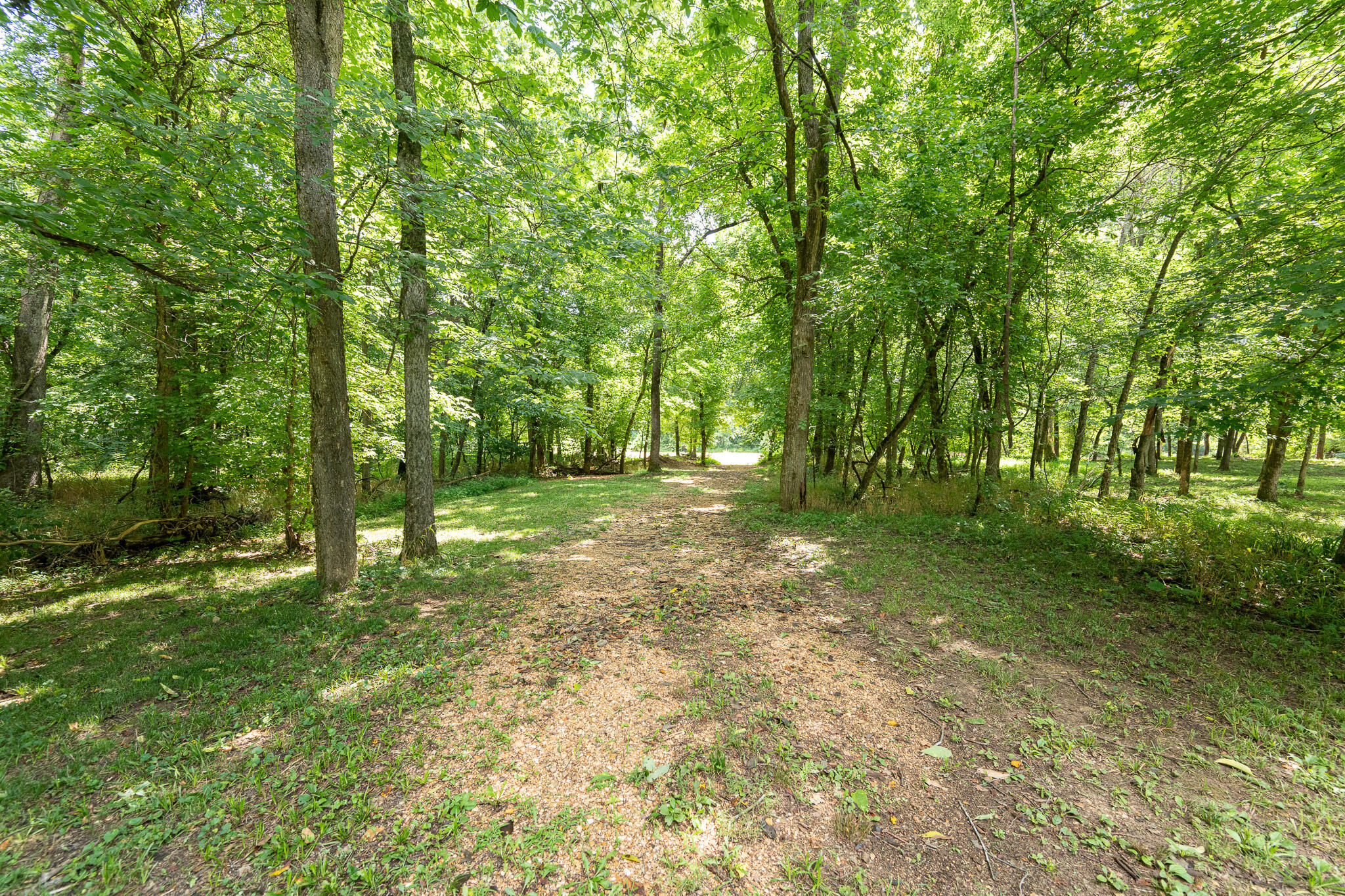 Photo 29 - Land for sale – 777  Thickety Ford Road  Bourbon, MO