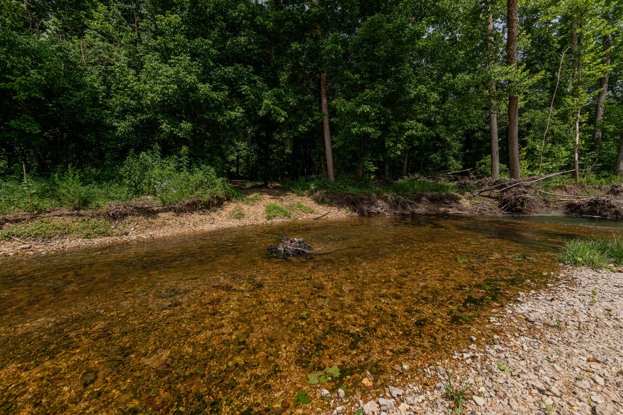 Photo 37 - Land for sale – 777  Thickety Ford Road  Bourbon, MO