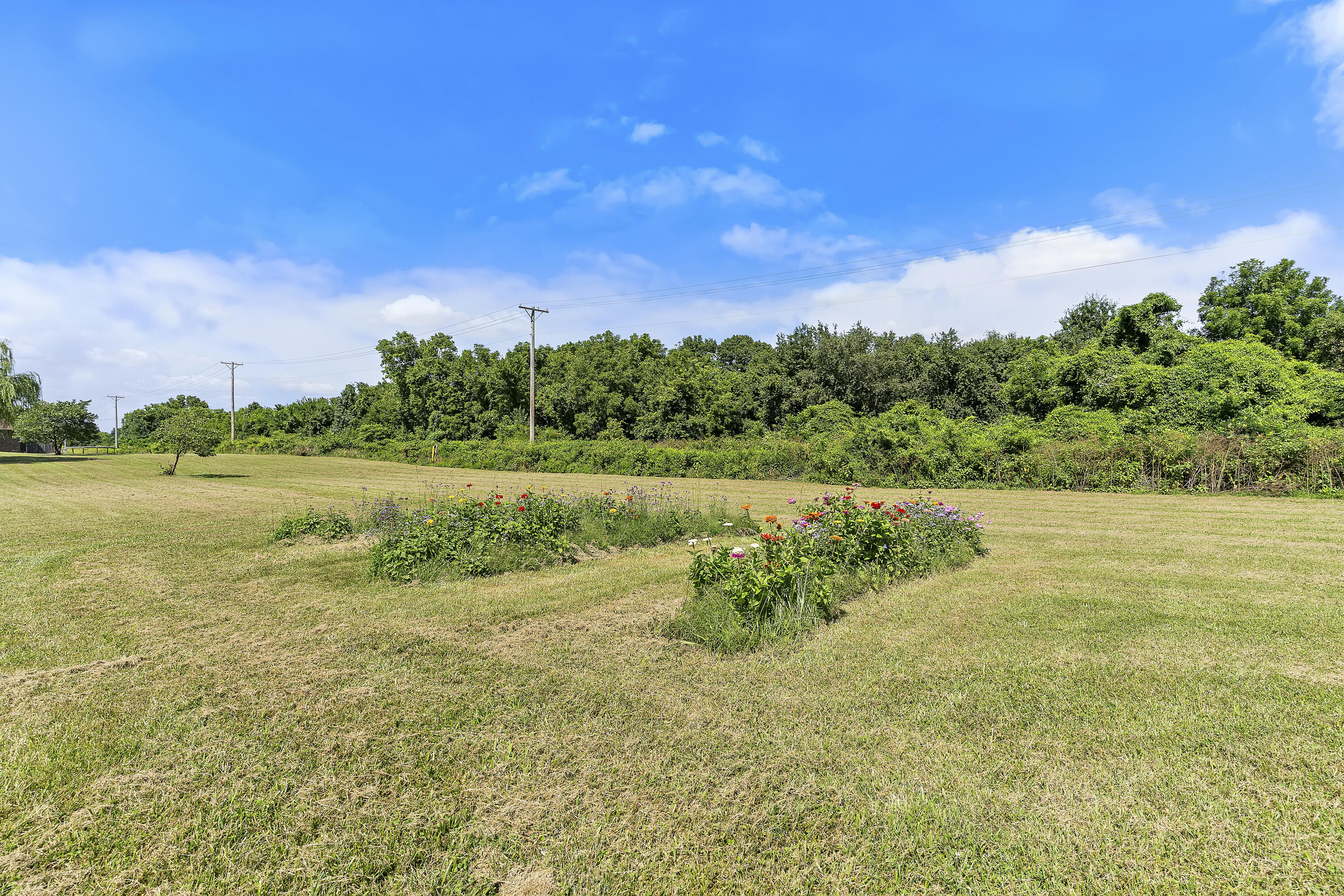 Photo 4 - Residential for sale – 7103 W Farm Road 94   Springfield, MO