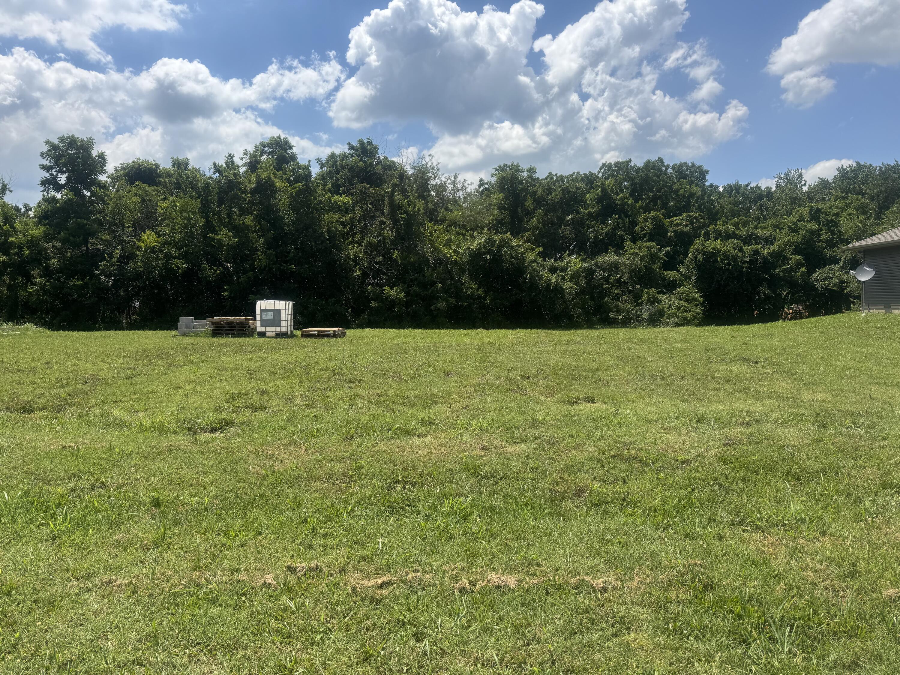 Photo 2 - Land for sale – 1462  Ridgemont Avenue  Monett, MO