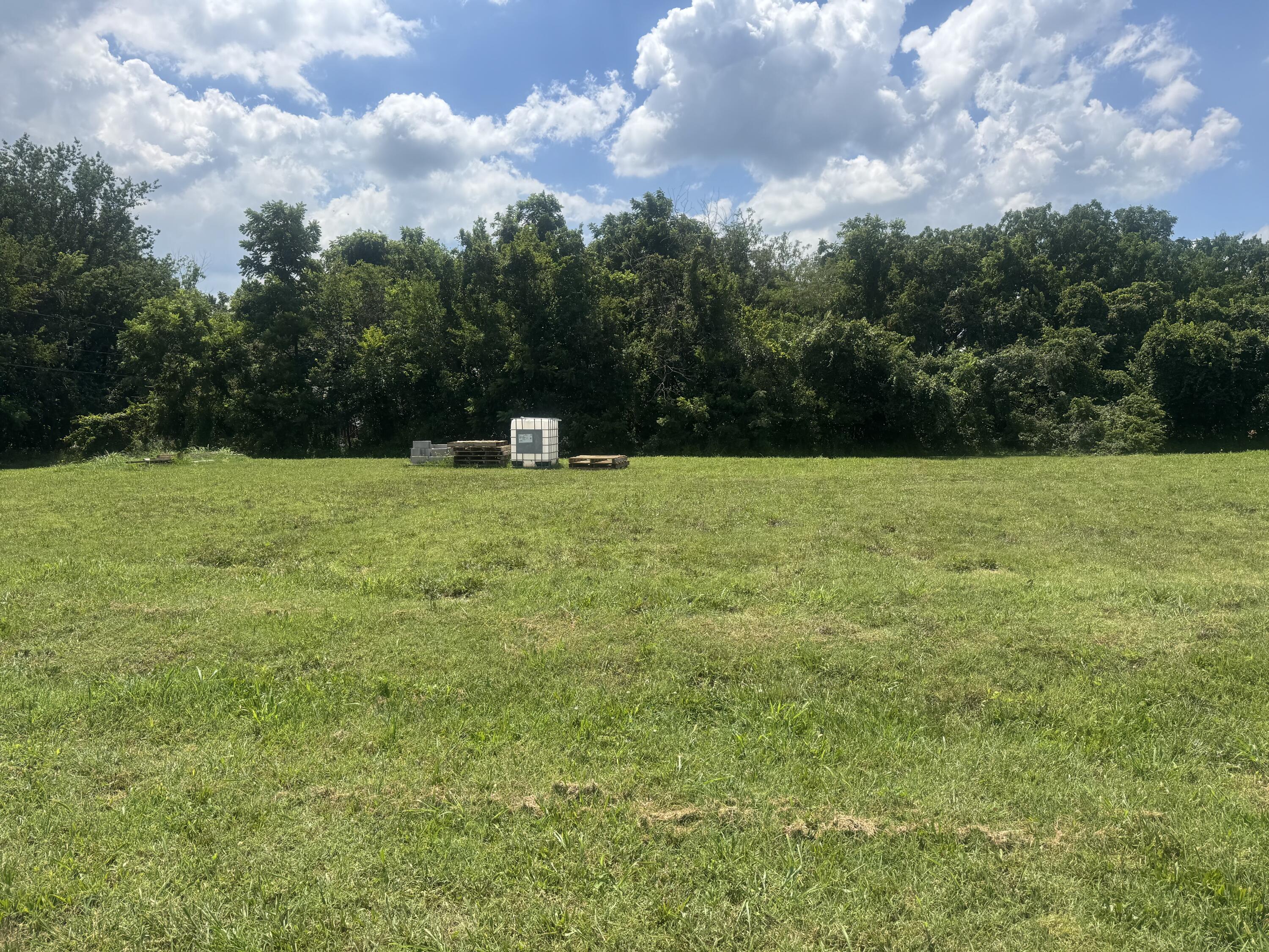 Photo 3 - Land for sale – 1462  Ridgemont Avenue  Monett, MO