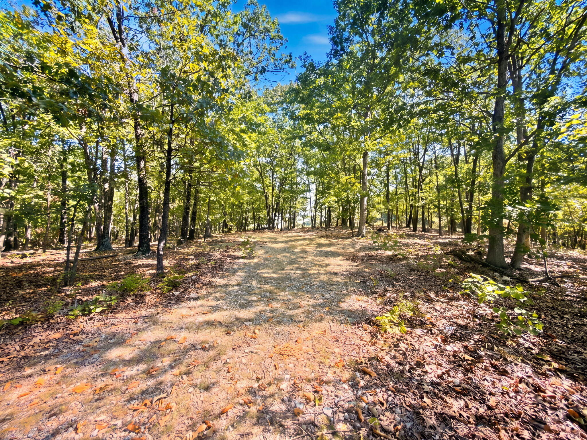Photo 30 - Farm for sale – 3723  Weaver Road  Grovespring, MO