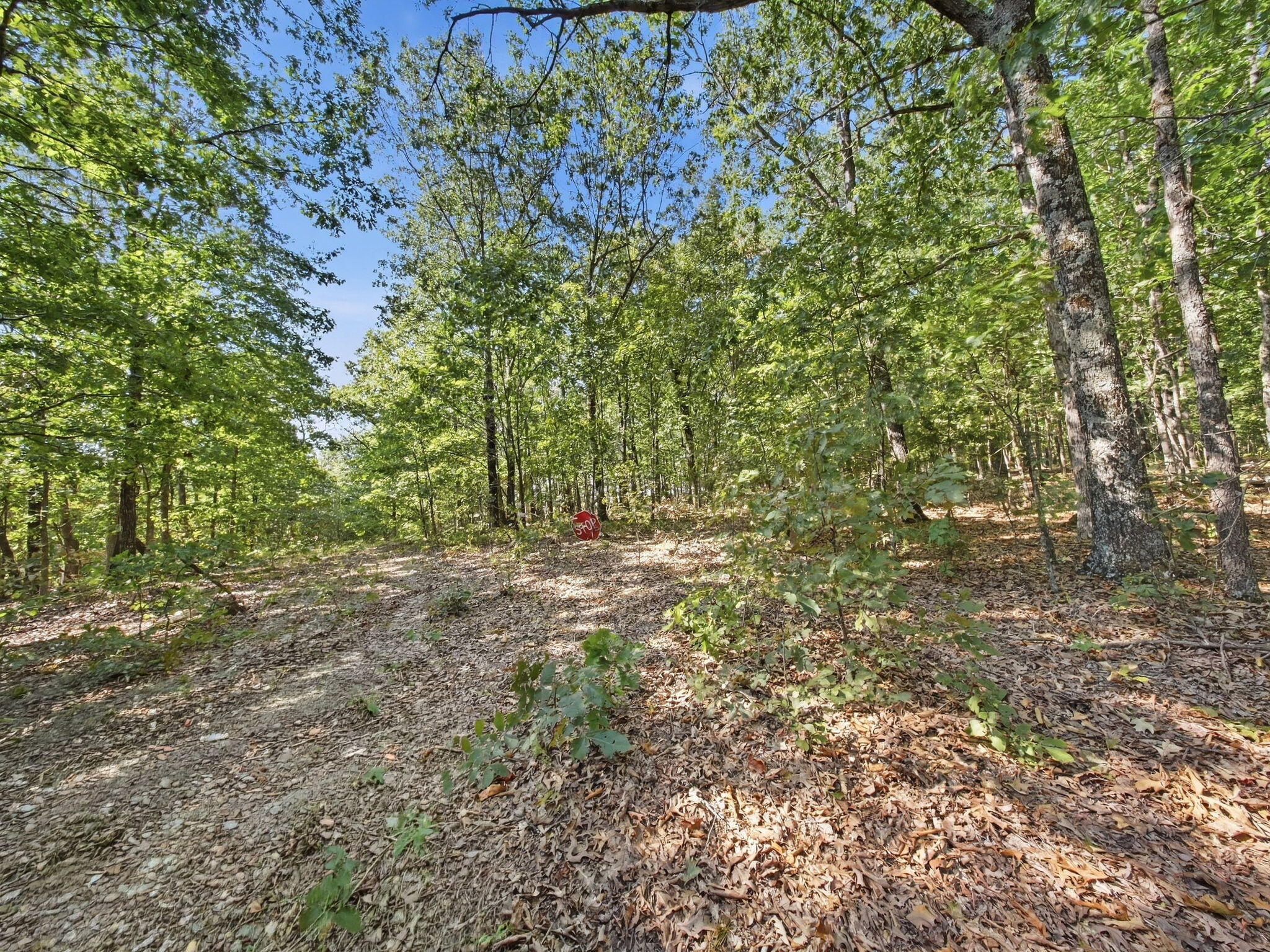 Photo 36 - Residential for sale – 3723  Weaver Road  Grovespring, MO