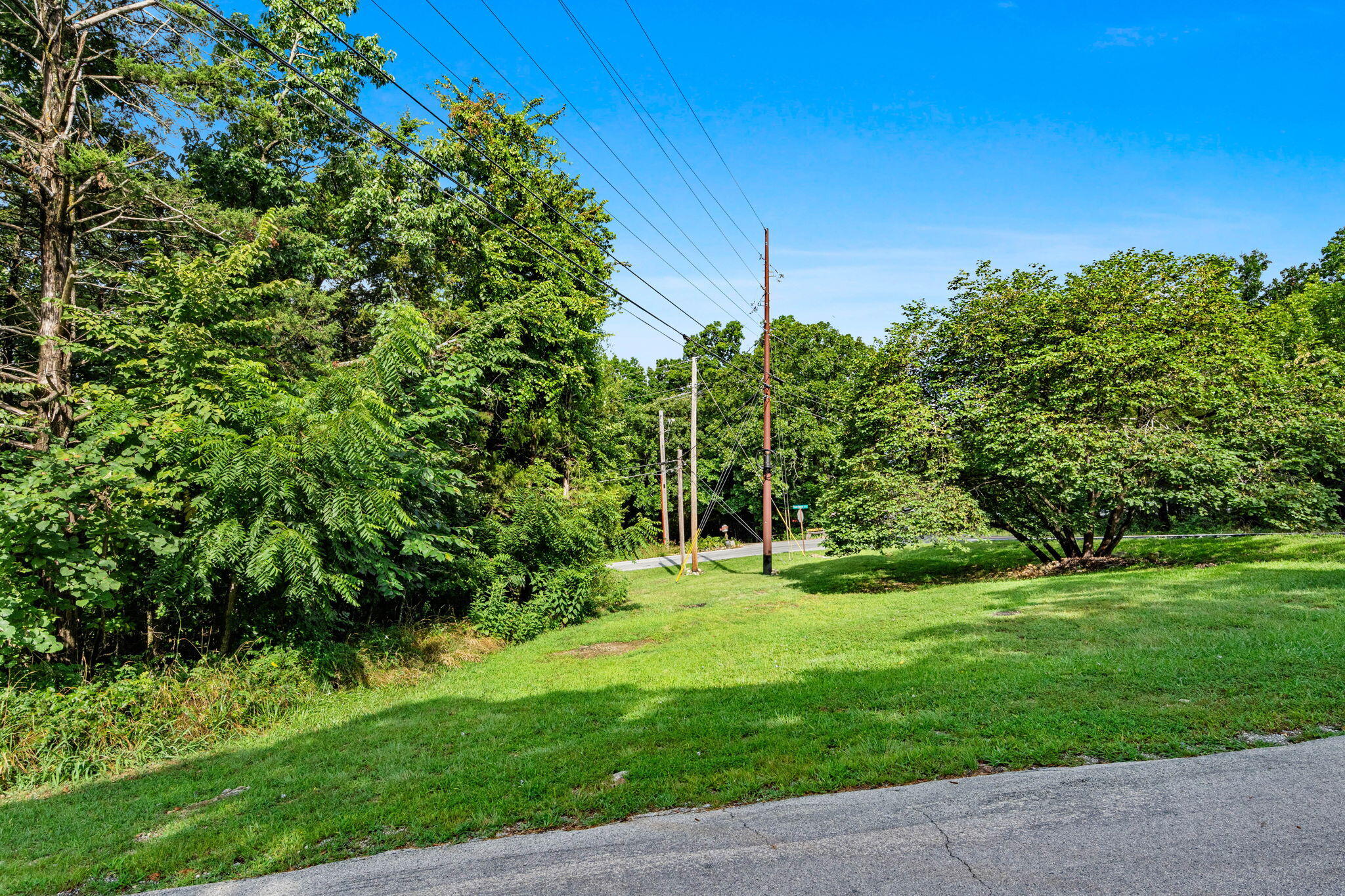Photo 7 - Land for sale – Lots 82/83  Santana Circle  Kimberling City, MO
