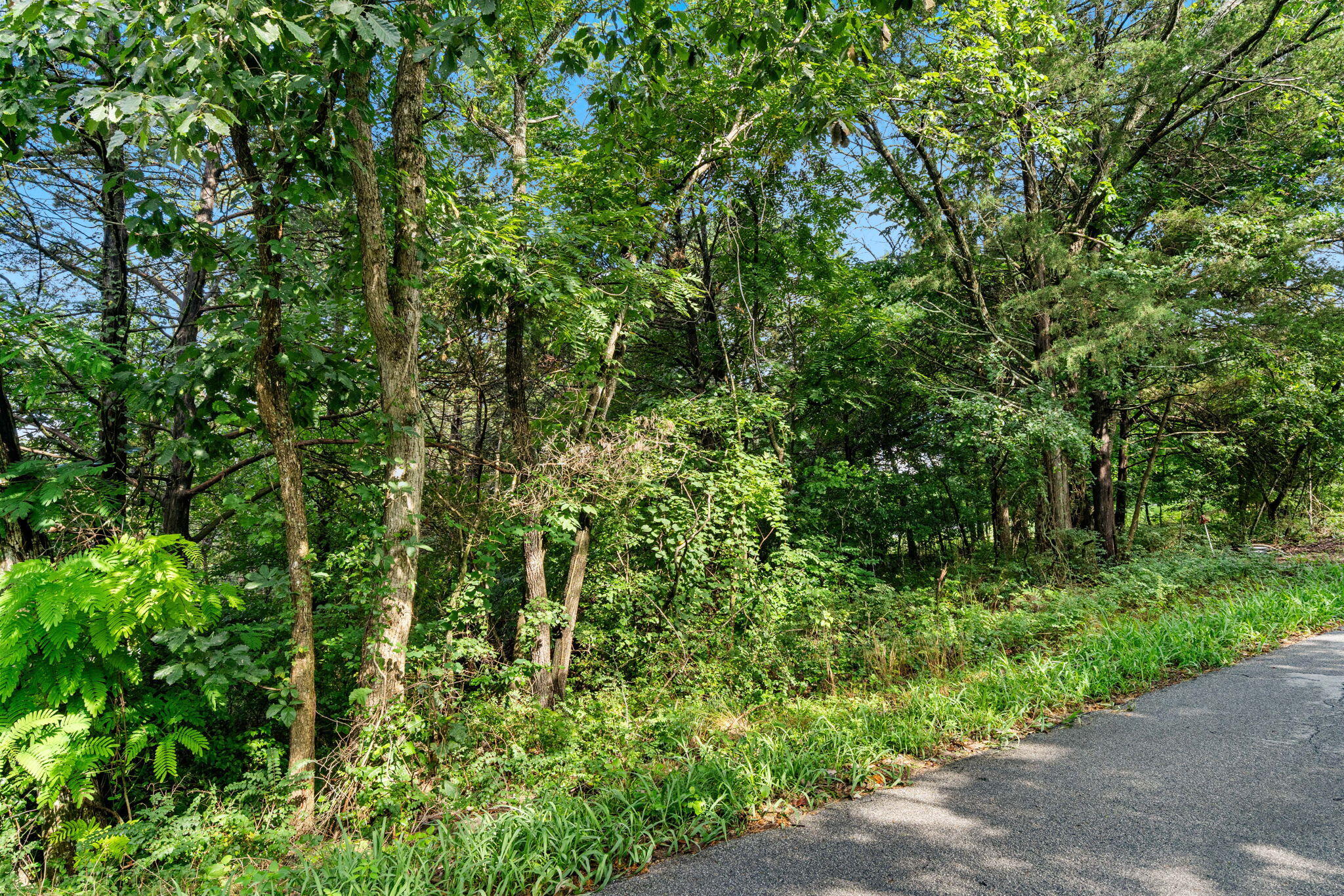 Photo 9 - Land for sale – Lots 82/83  Santana Circle  Kimberling City, MO