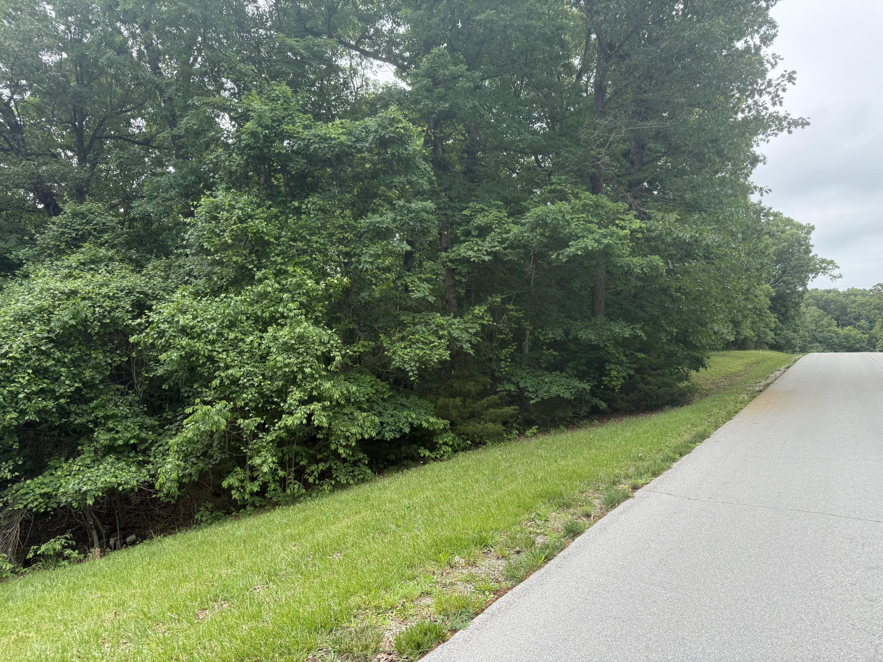 Photo 4 - Land for sale – 5156 N Missouri Oak Trail  Springfield, MO