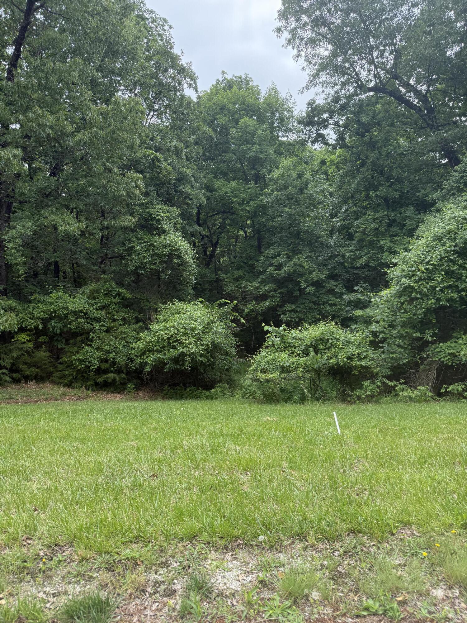 Photo 5 - Land for sale – 5156 N Missouri Oak Trail  Springfield, MO