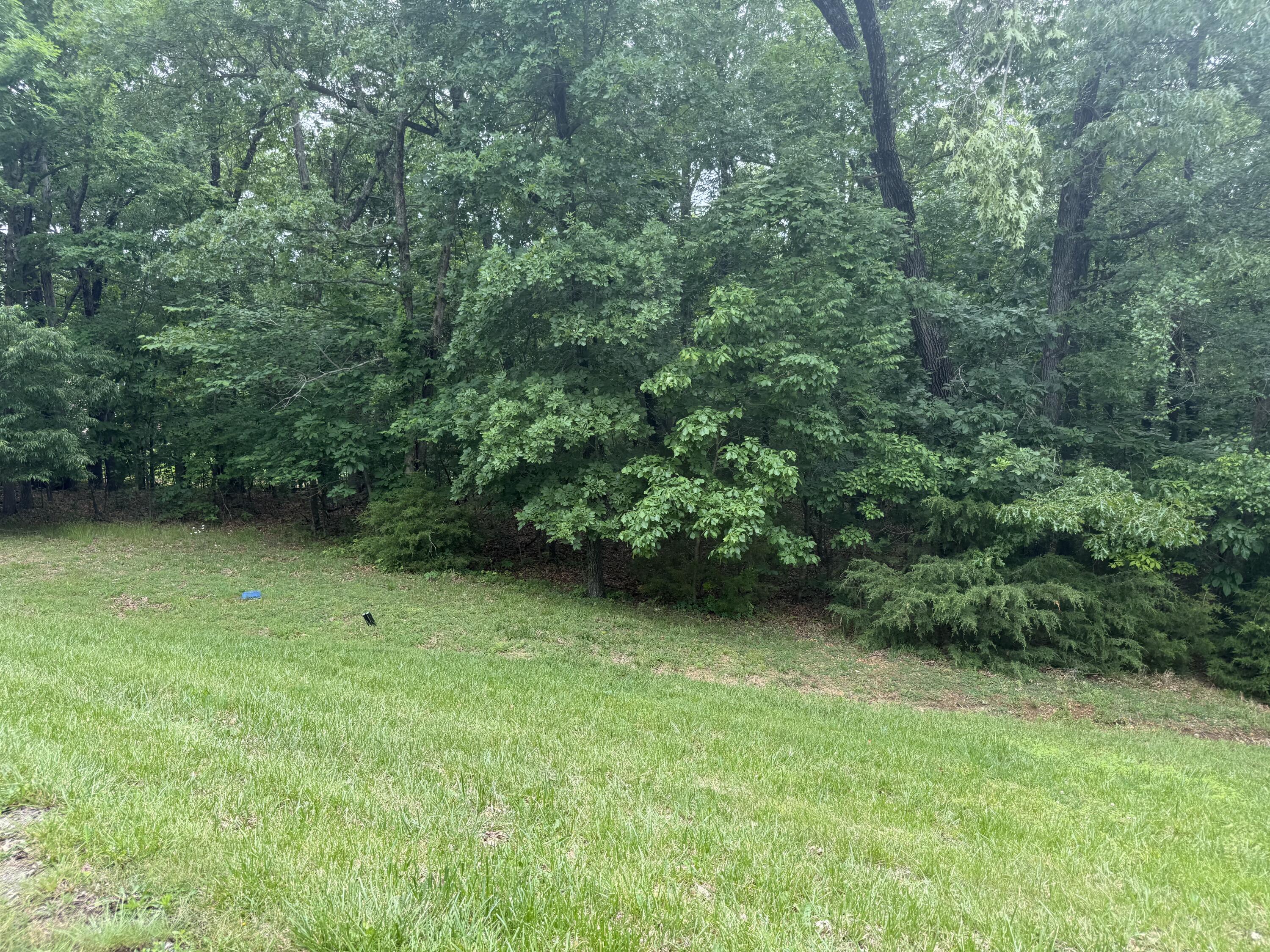 Land for sale – 5156 N Missouri Oak Trail  Springfield, MO