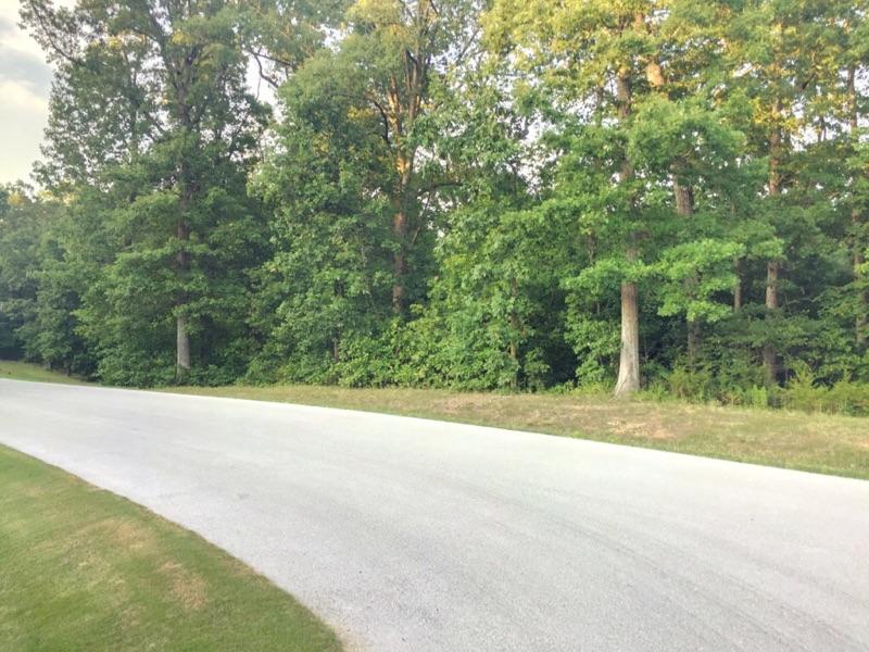 Photo 4 - Land for sale – 5124 N Missouri Oak Trail  Springfield, MO